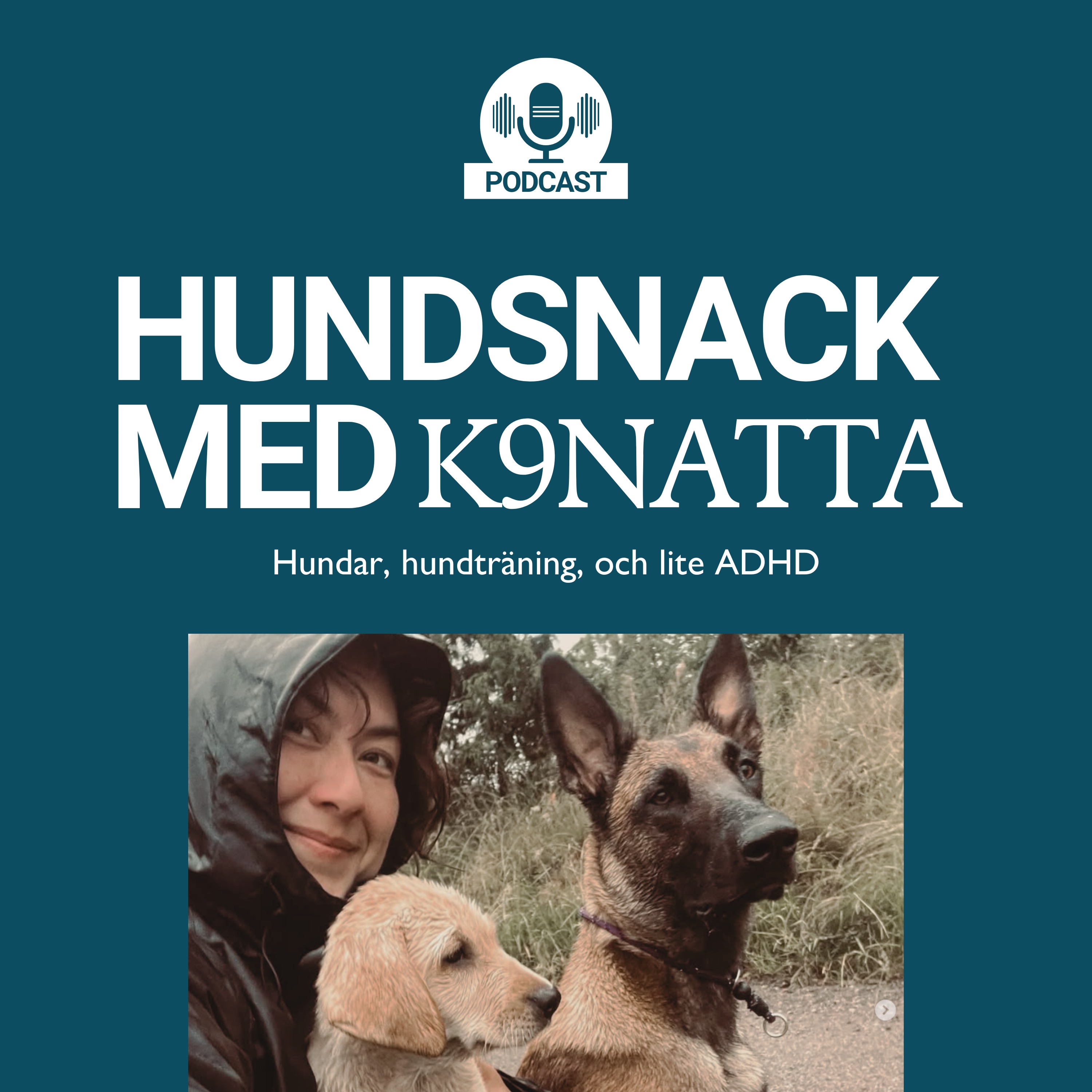 Hundsnack med K9Natta