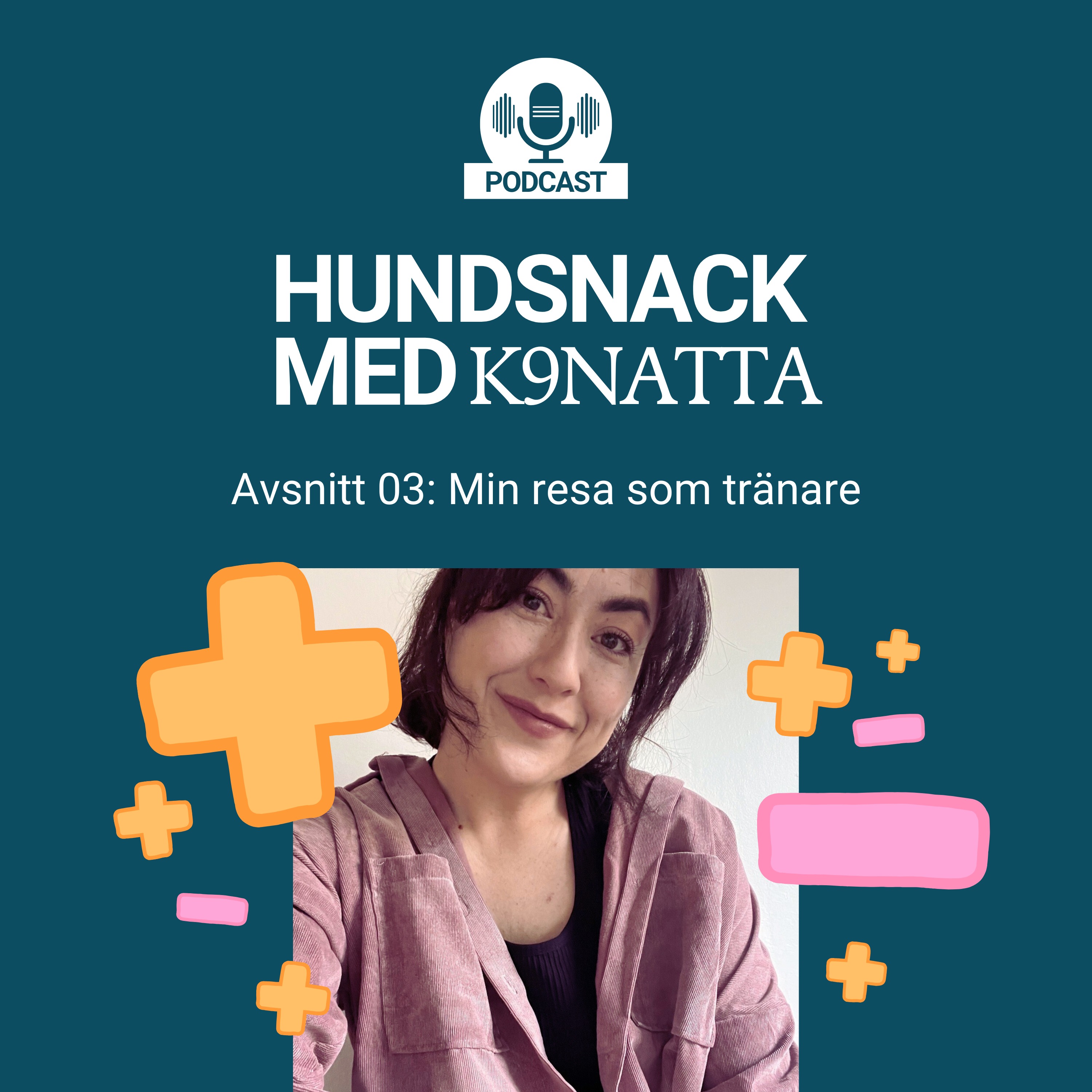 Min resa som tränare episode artwork