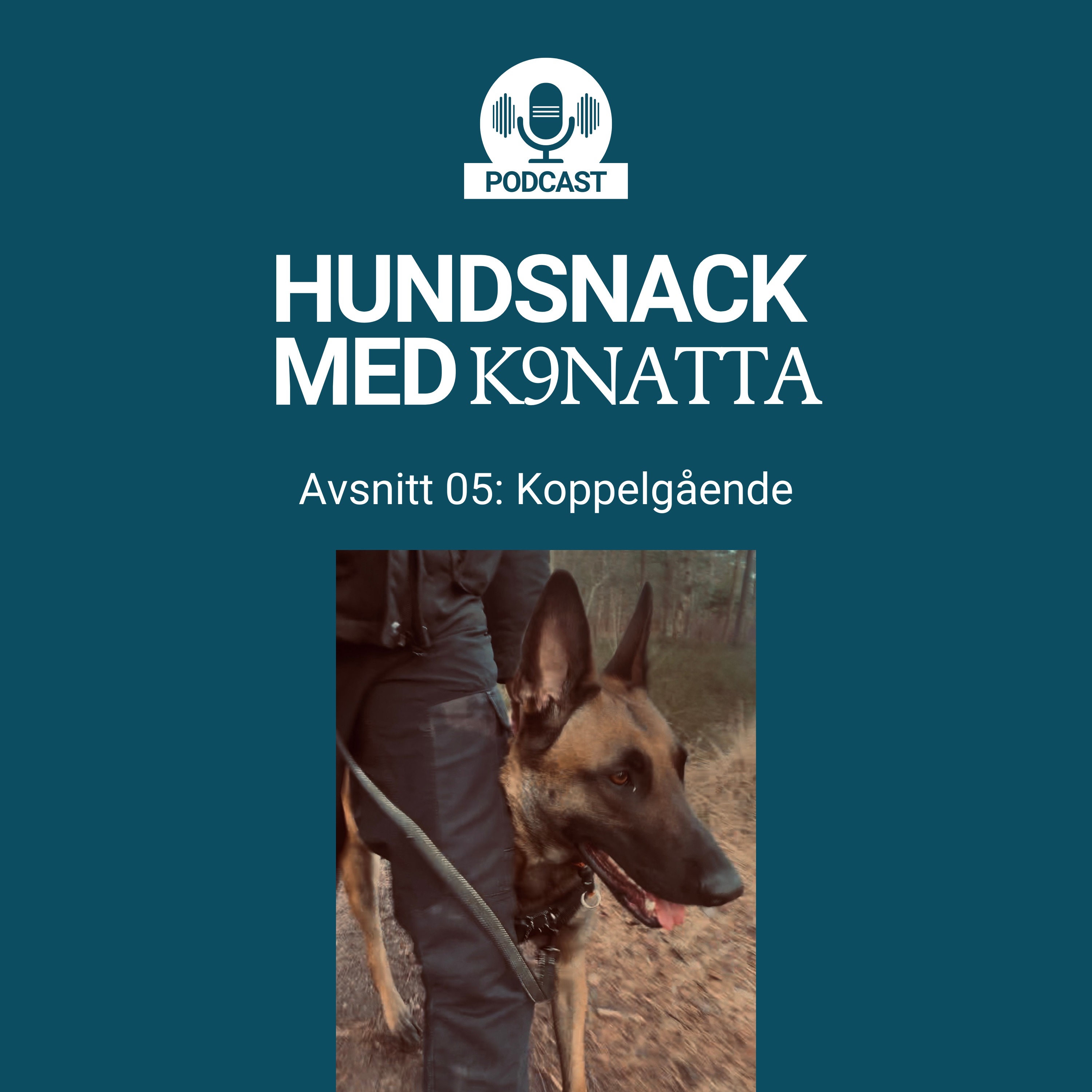 Koppelgående episode artwork