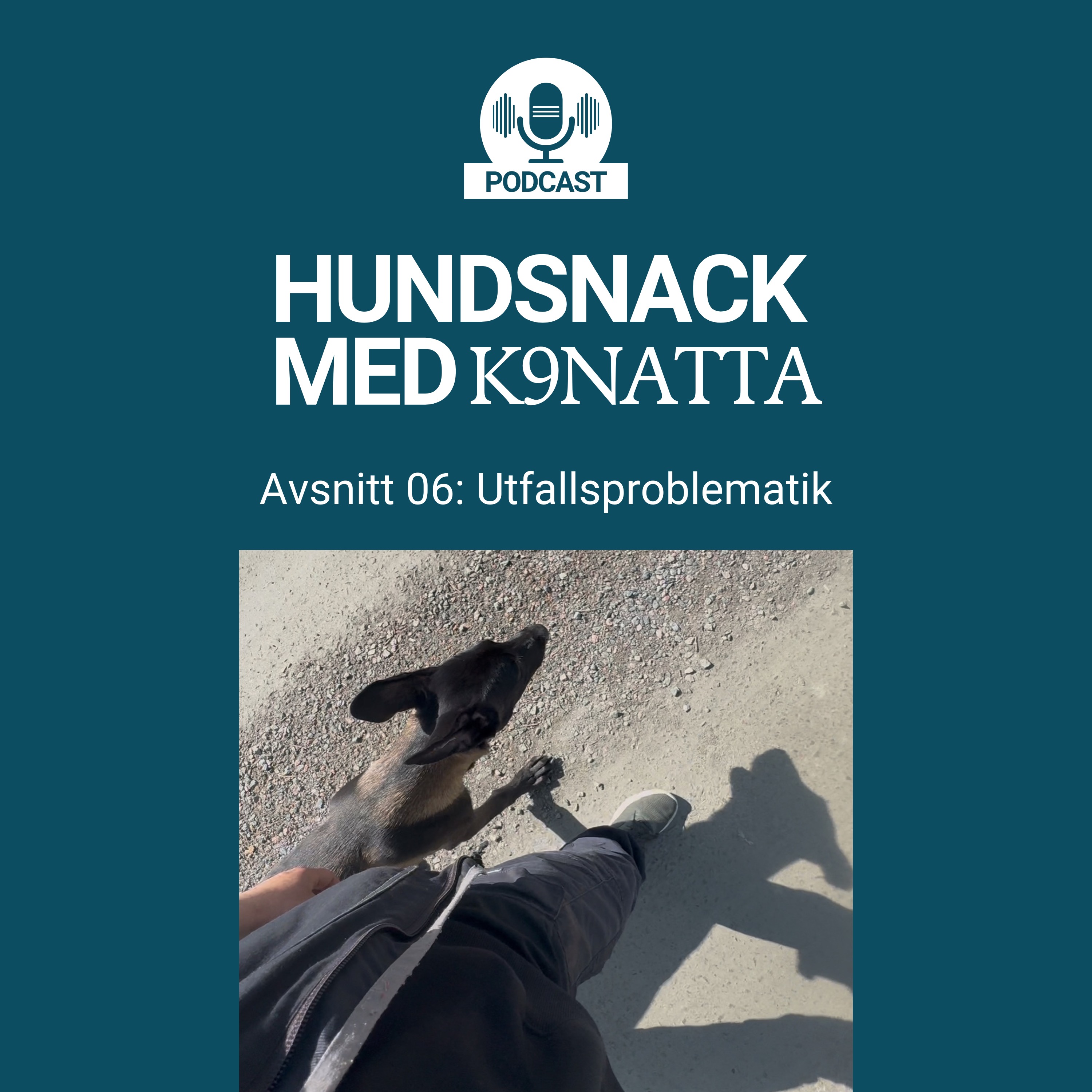Utfallsproblematik episode artwork
