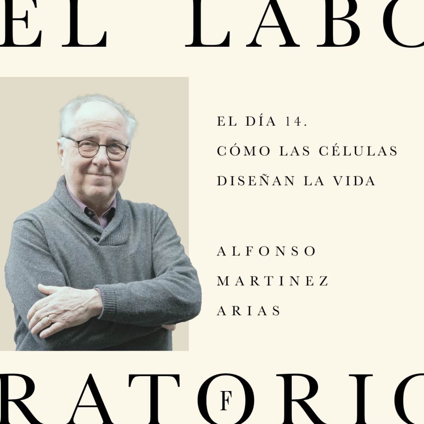 Episodio 3. El día 14. Cómo las células diseñan la vida