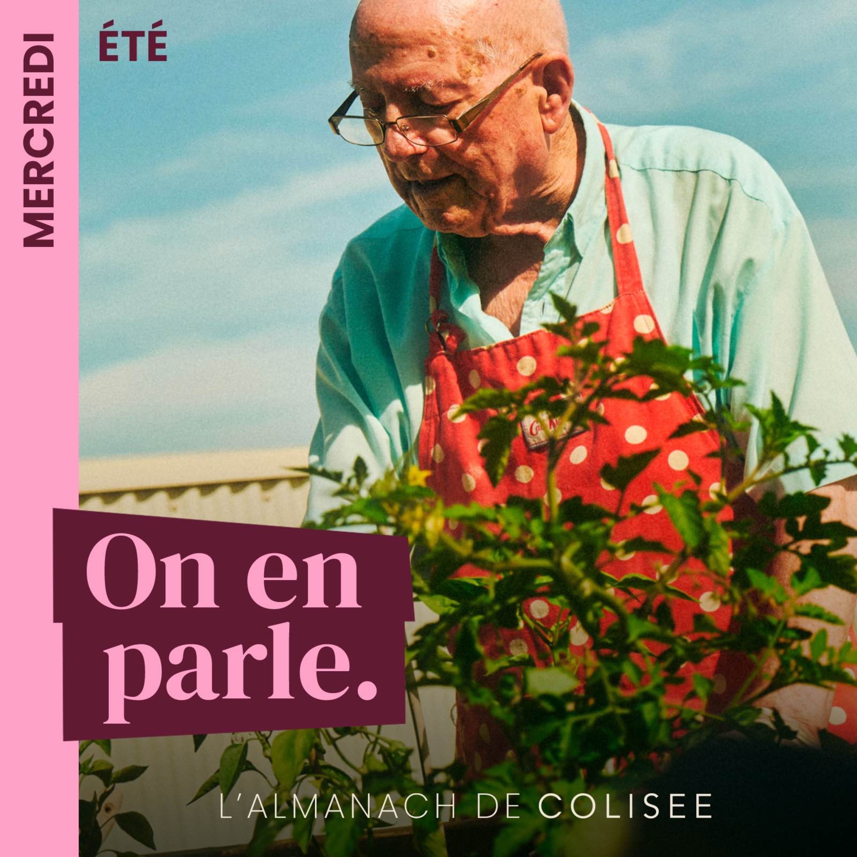 mercredi 25 juin  St Prosper – le litchi