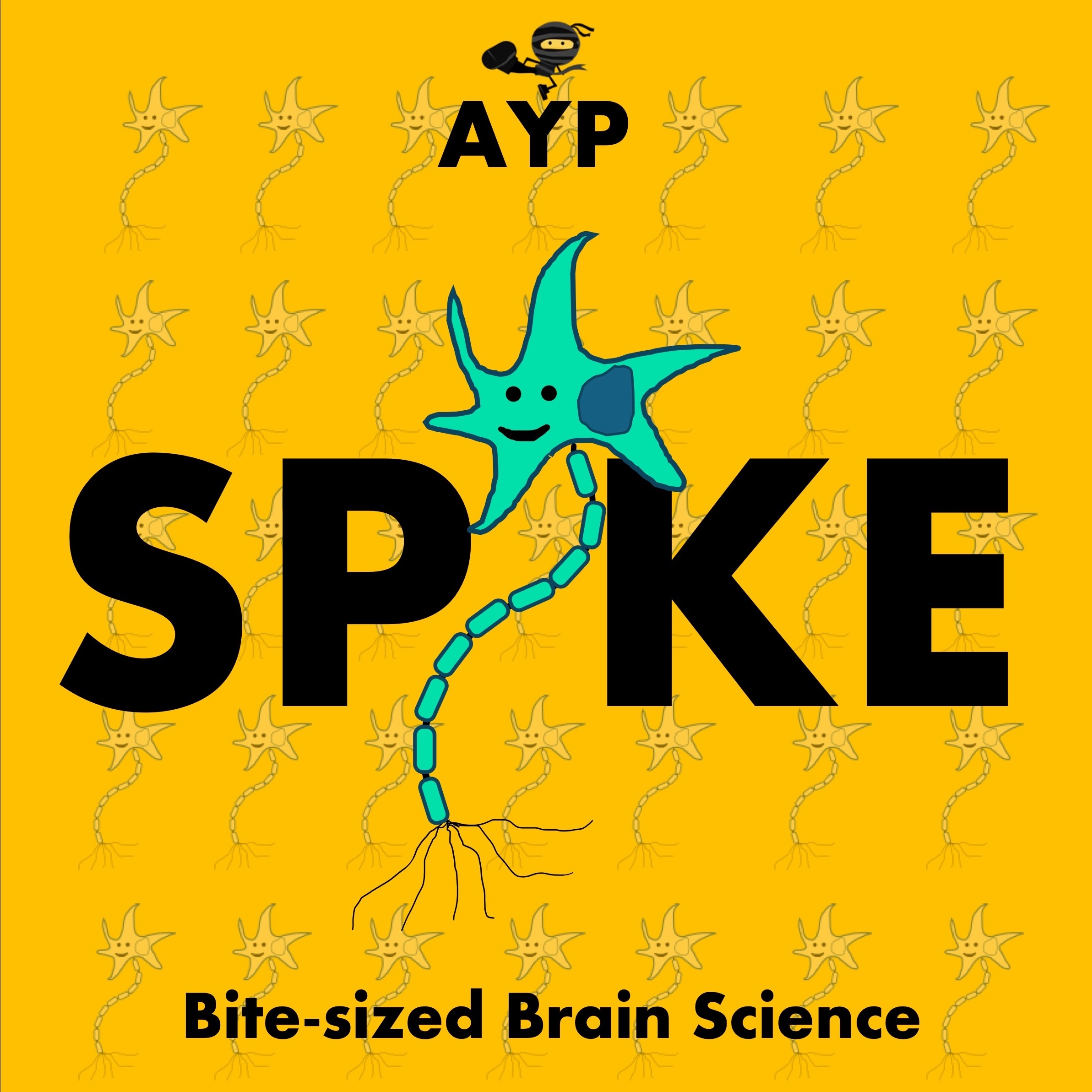 AYP Spike