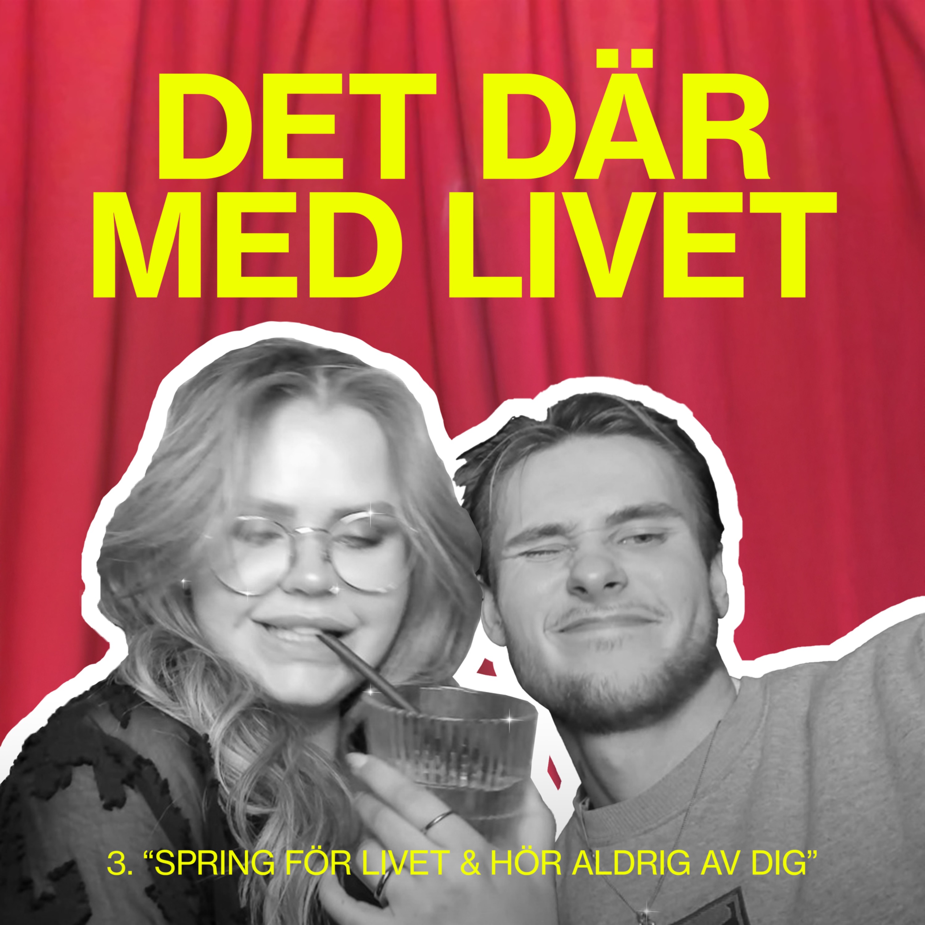 Det Där Med Livet