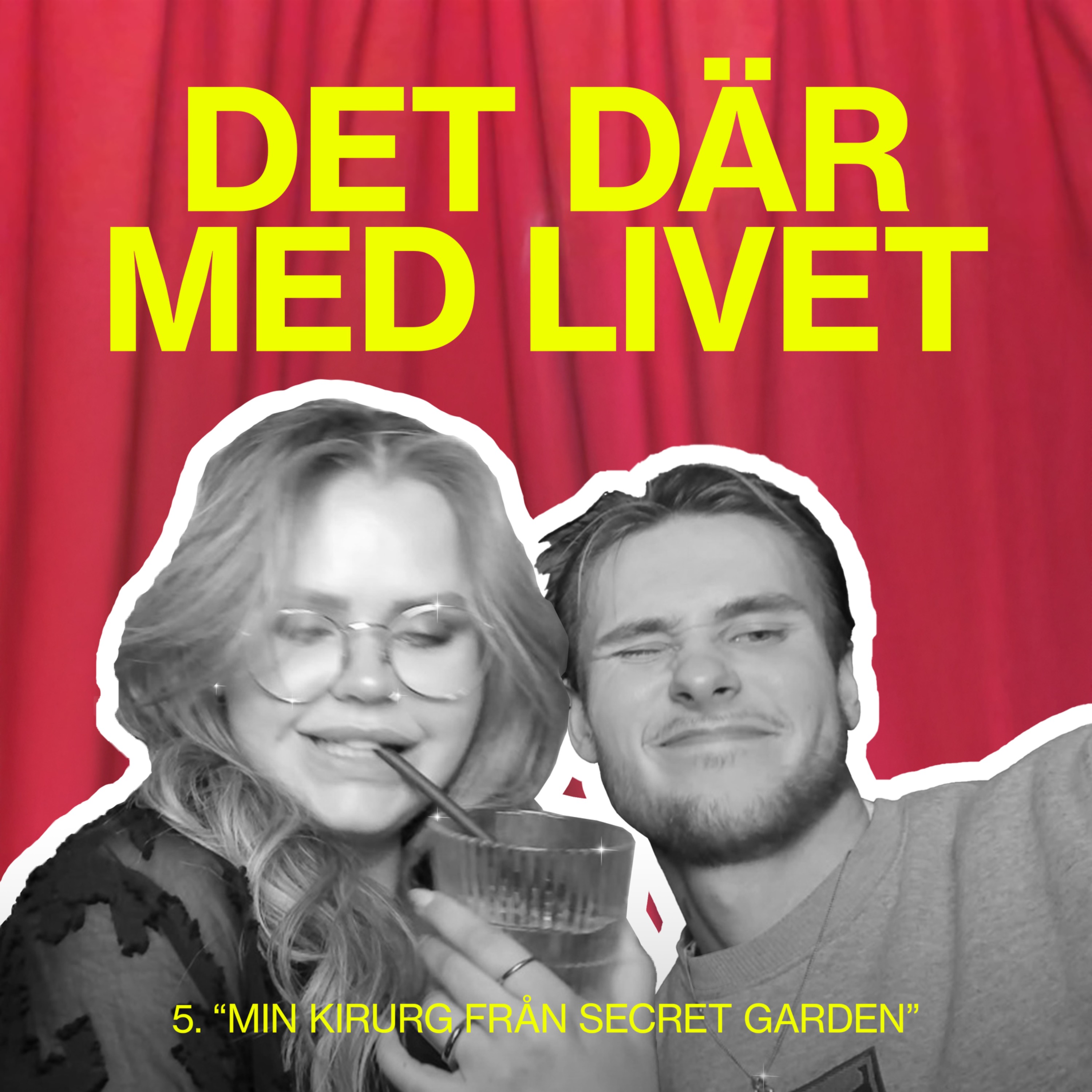 Det Där Med Livet