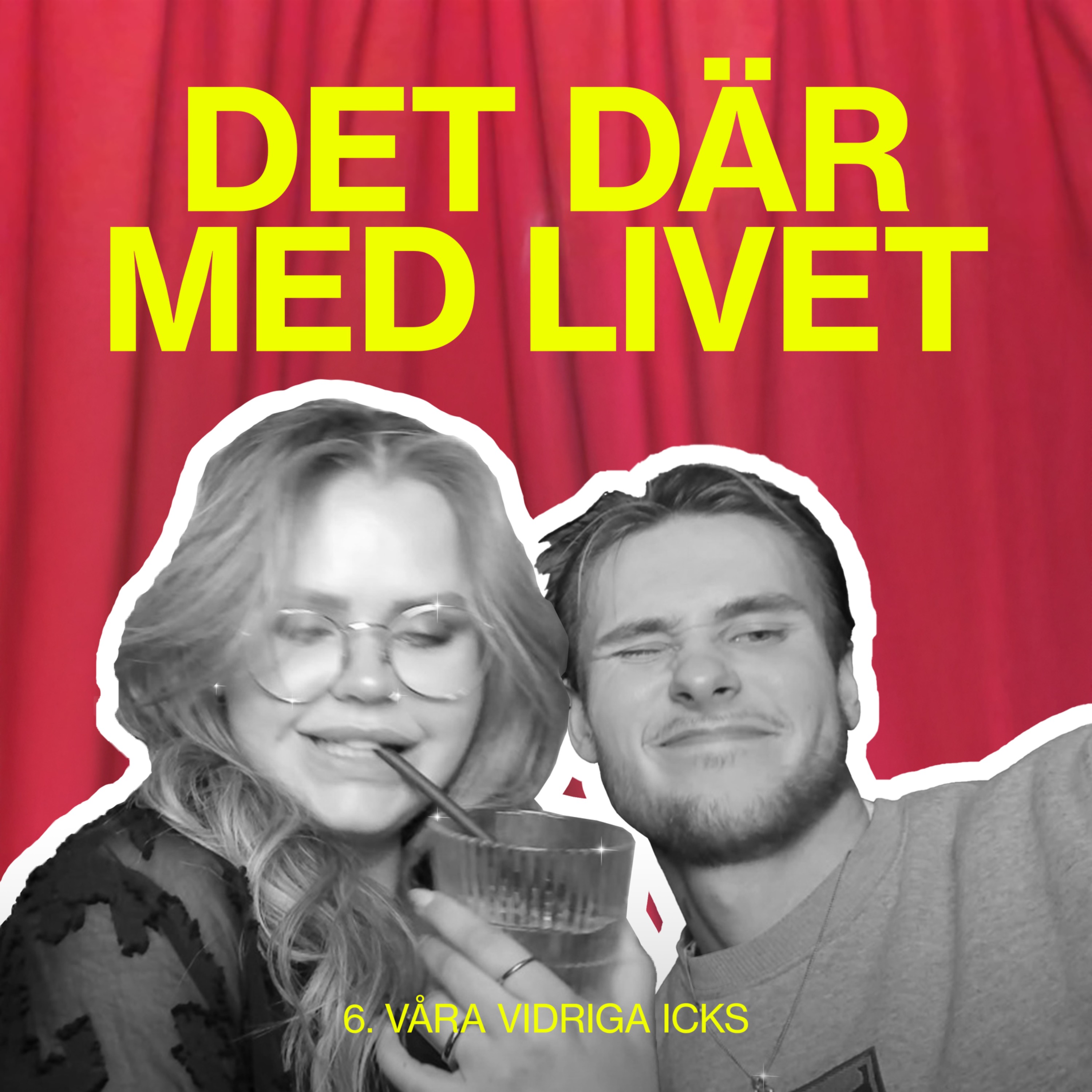 Det Där Med Livet