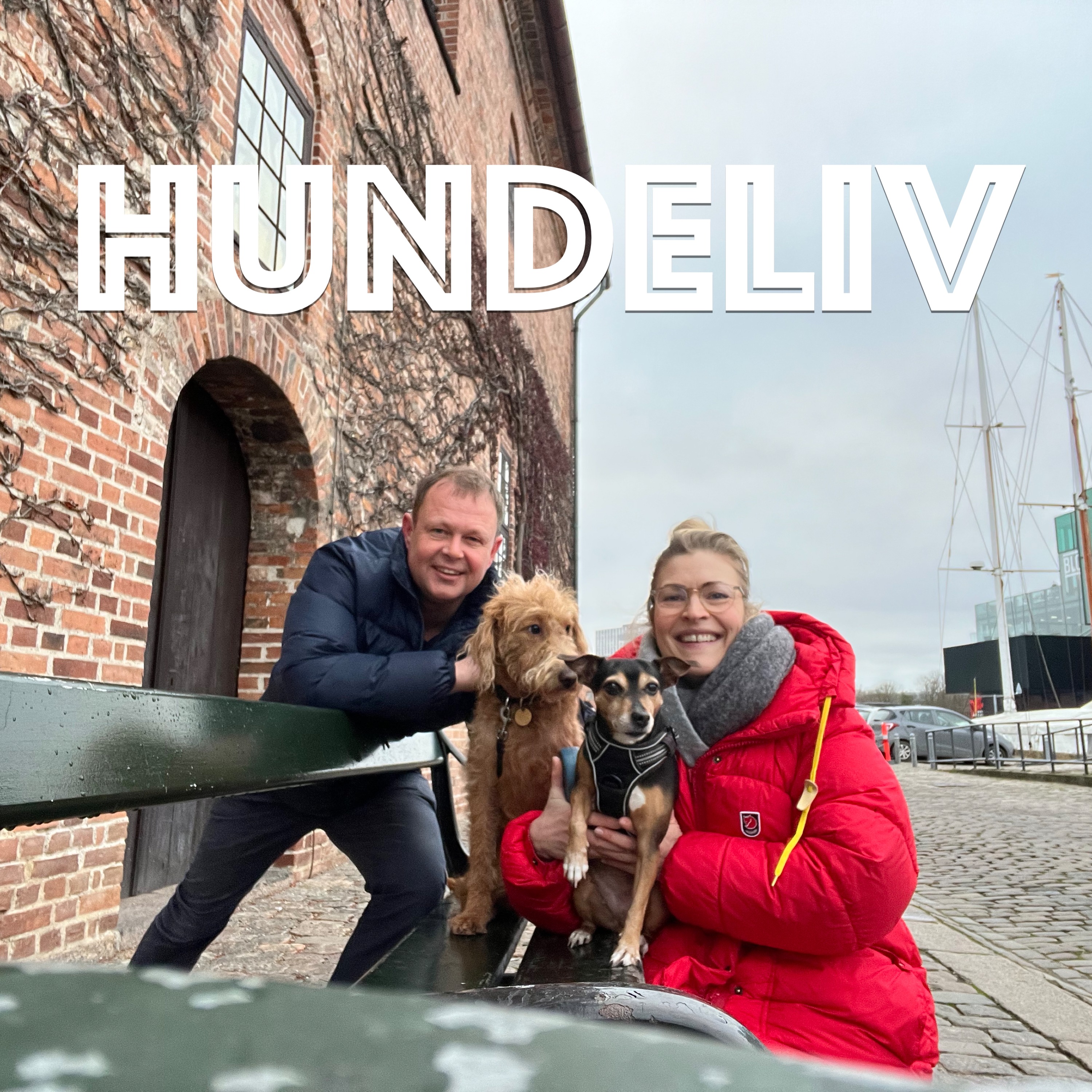 Hundeliv