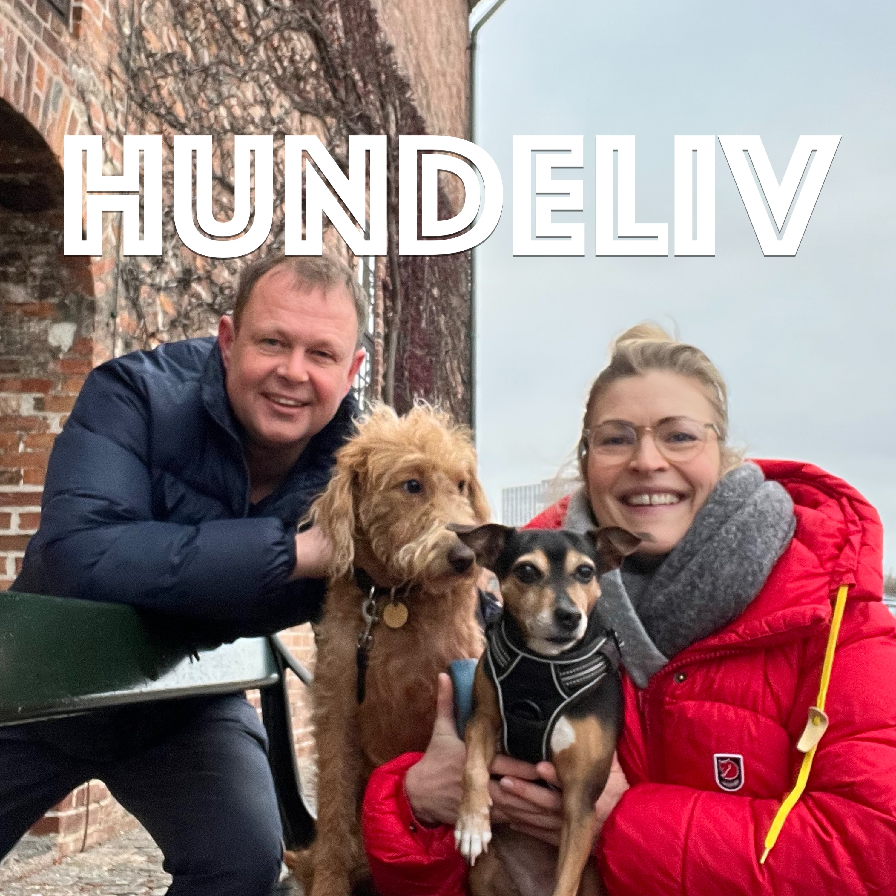 Dobbelt op på hunde-lykke