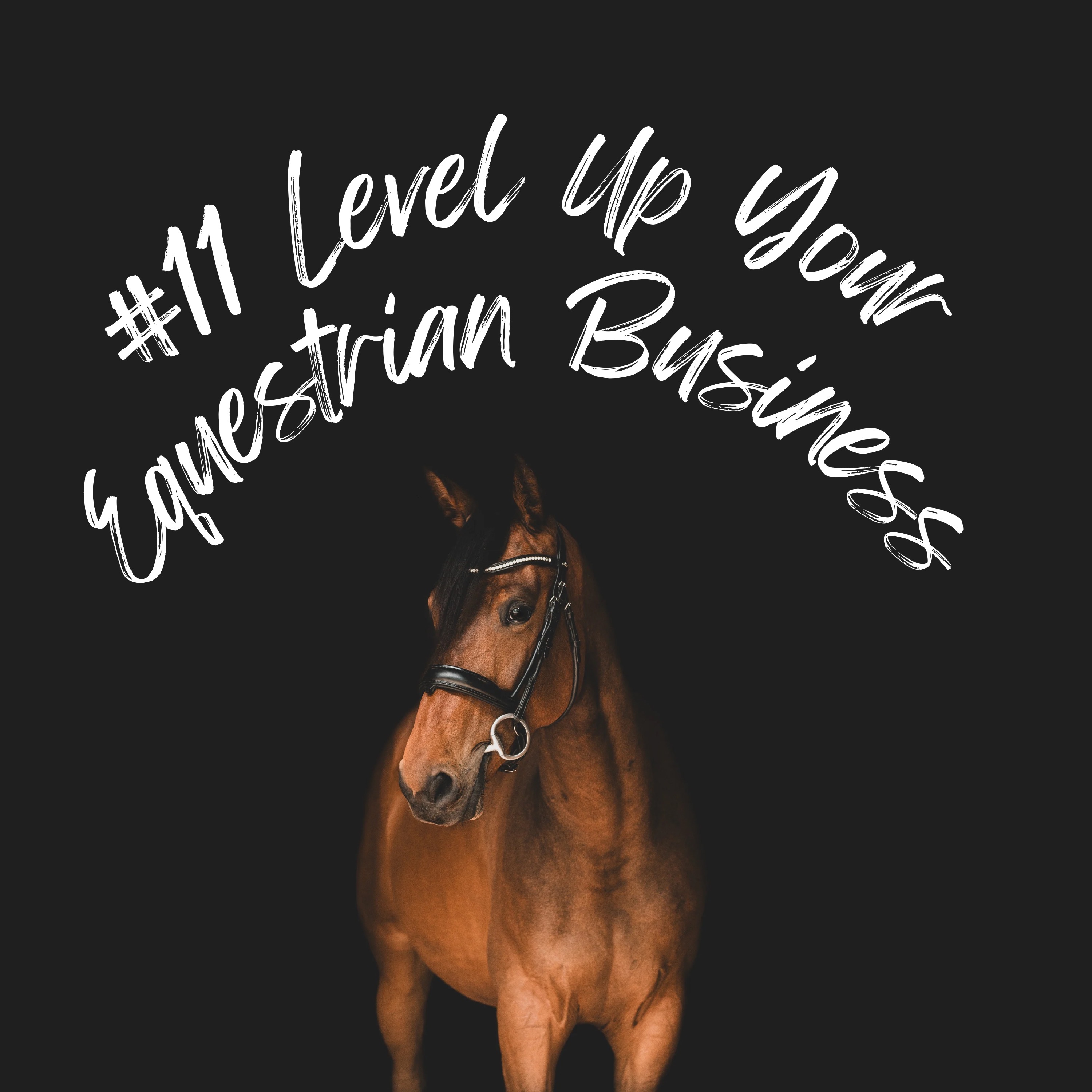 Level Up Your Equestrian Business