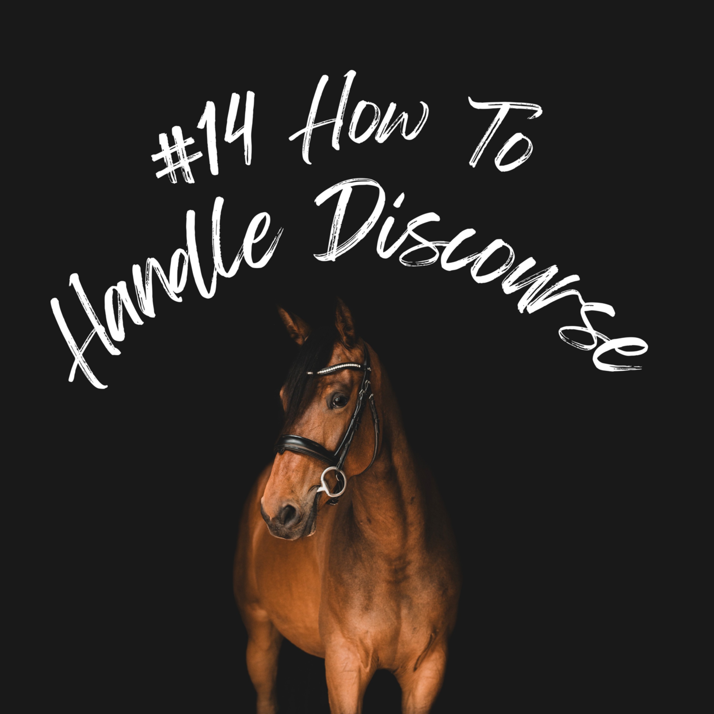 How to handle discourse in the equestrian industry
