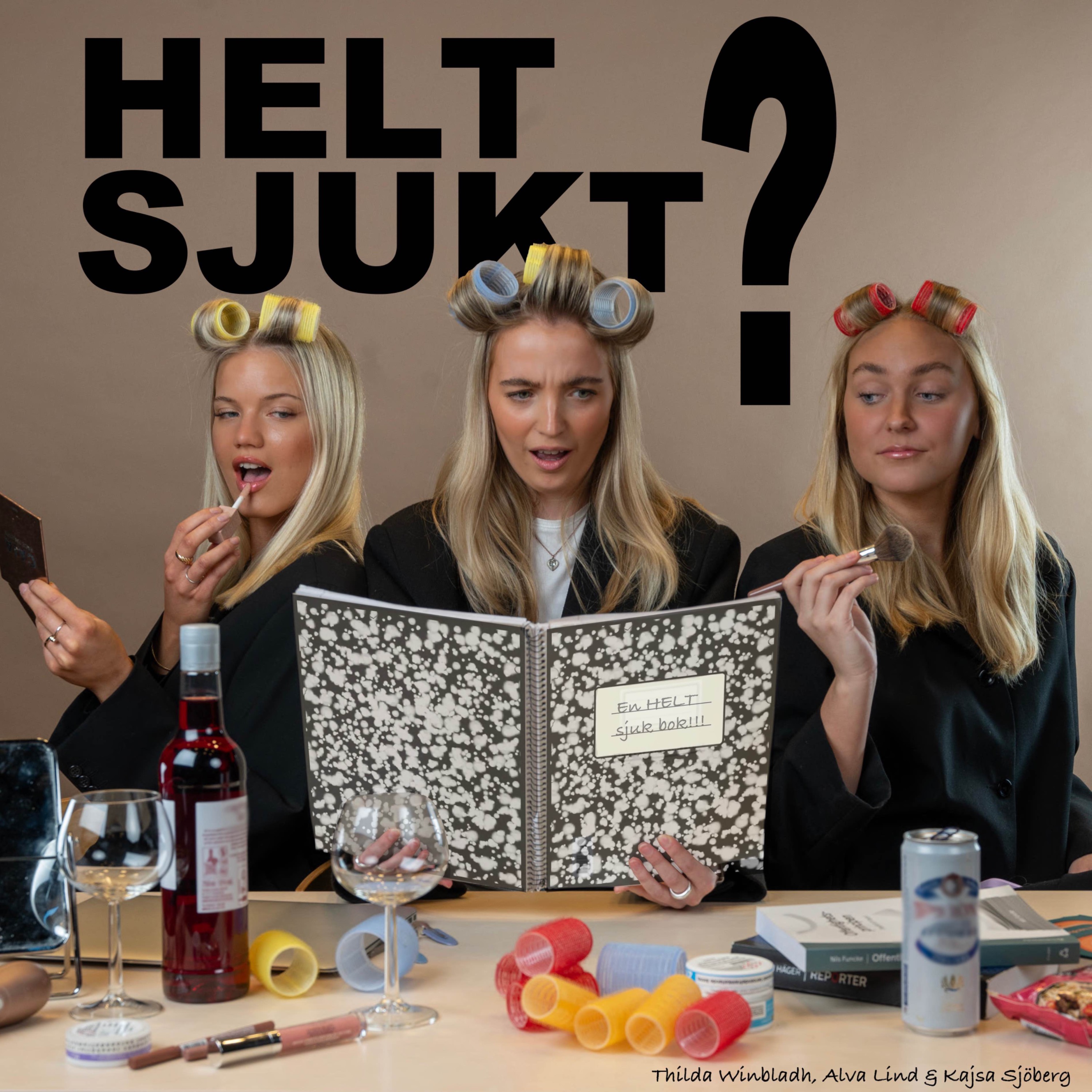 16. Det här önskar vi vår värsta fiende episode artwork