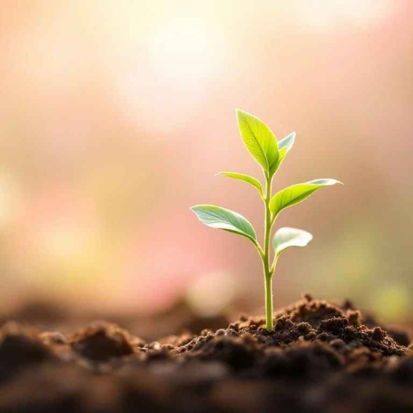 "باور به خود: جرقه‌ای برای حرکت بزرگ"