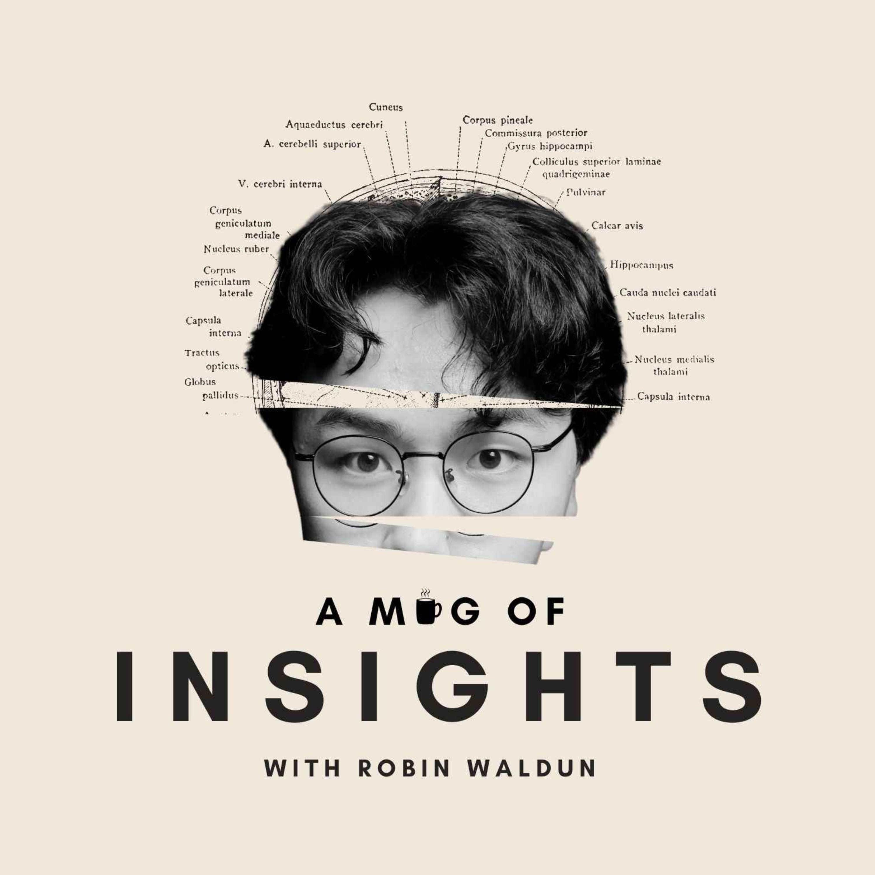 A Mug of Insights