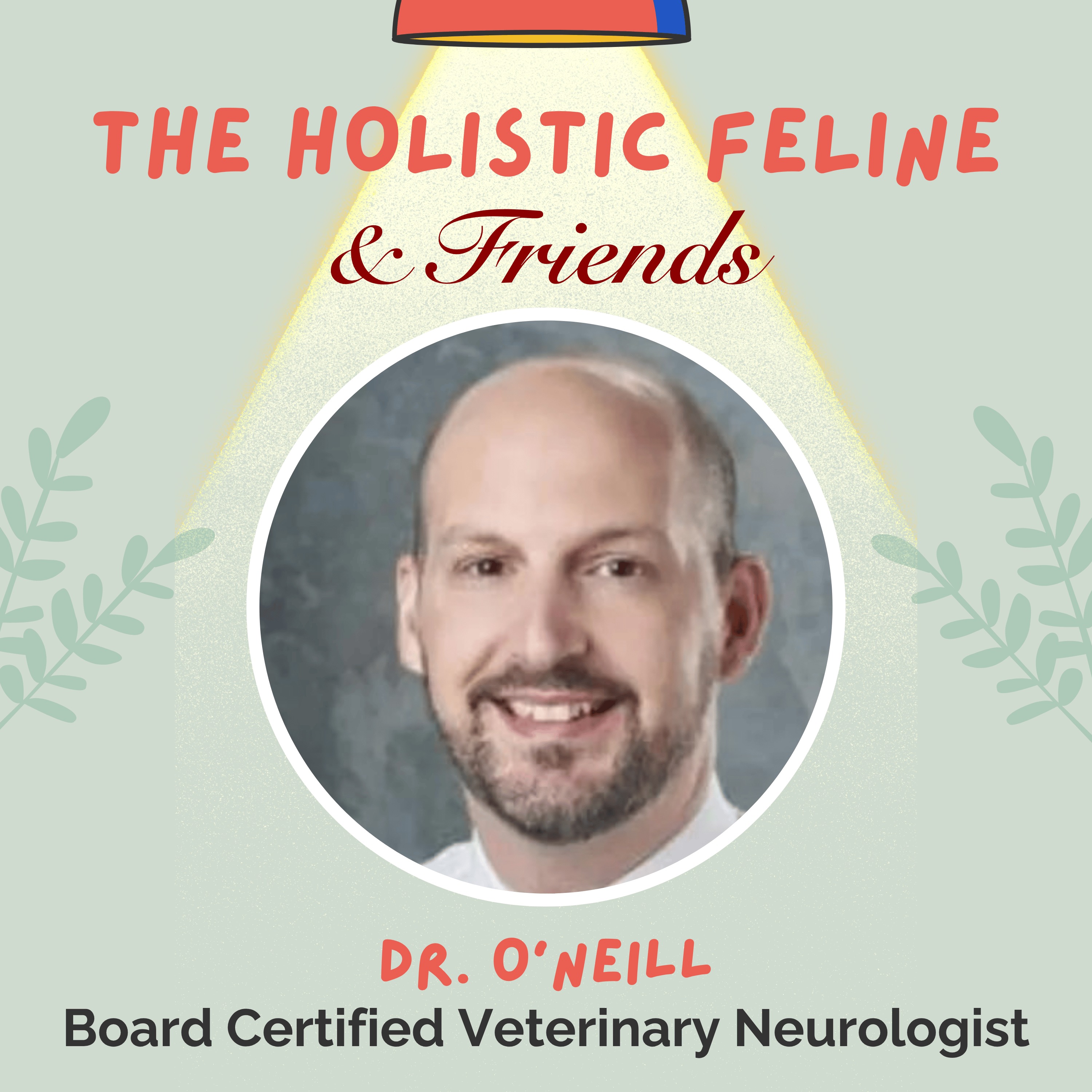 The Holistic Feline & Friends