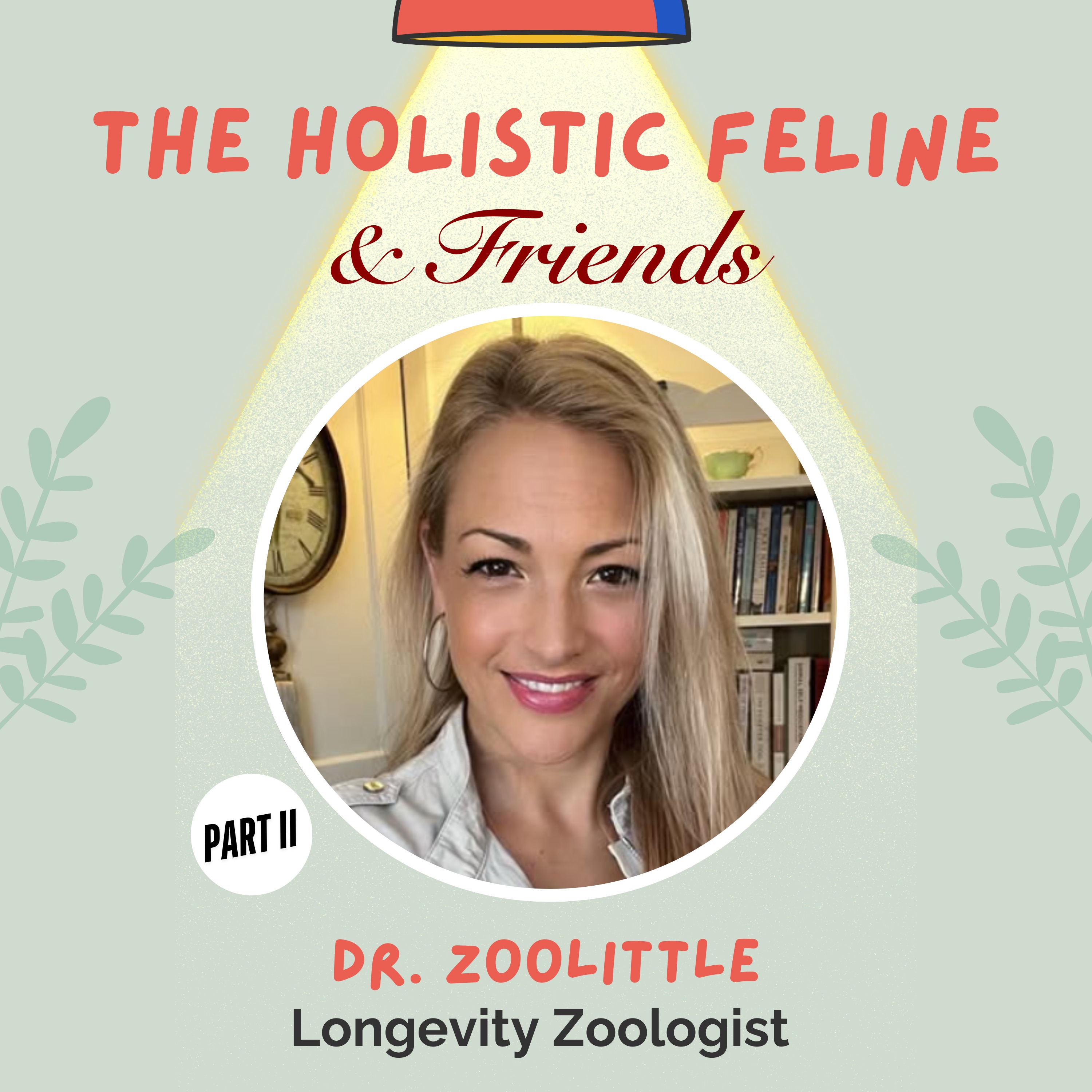 The Holistic Feline & Friends