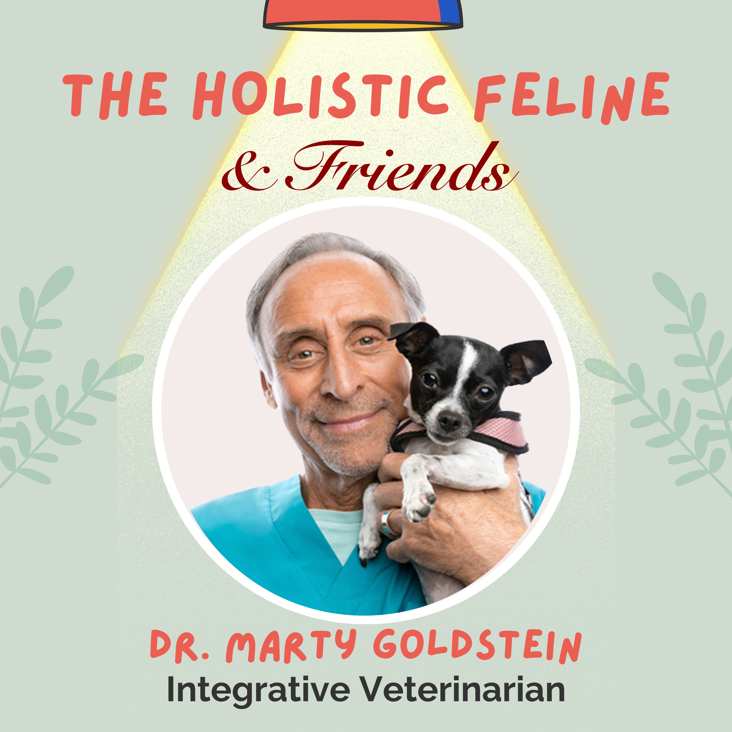 DR. MARTY GOLDSTEIN