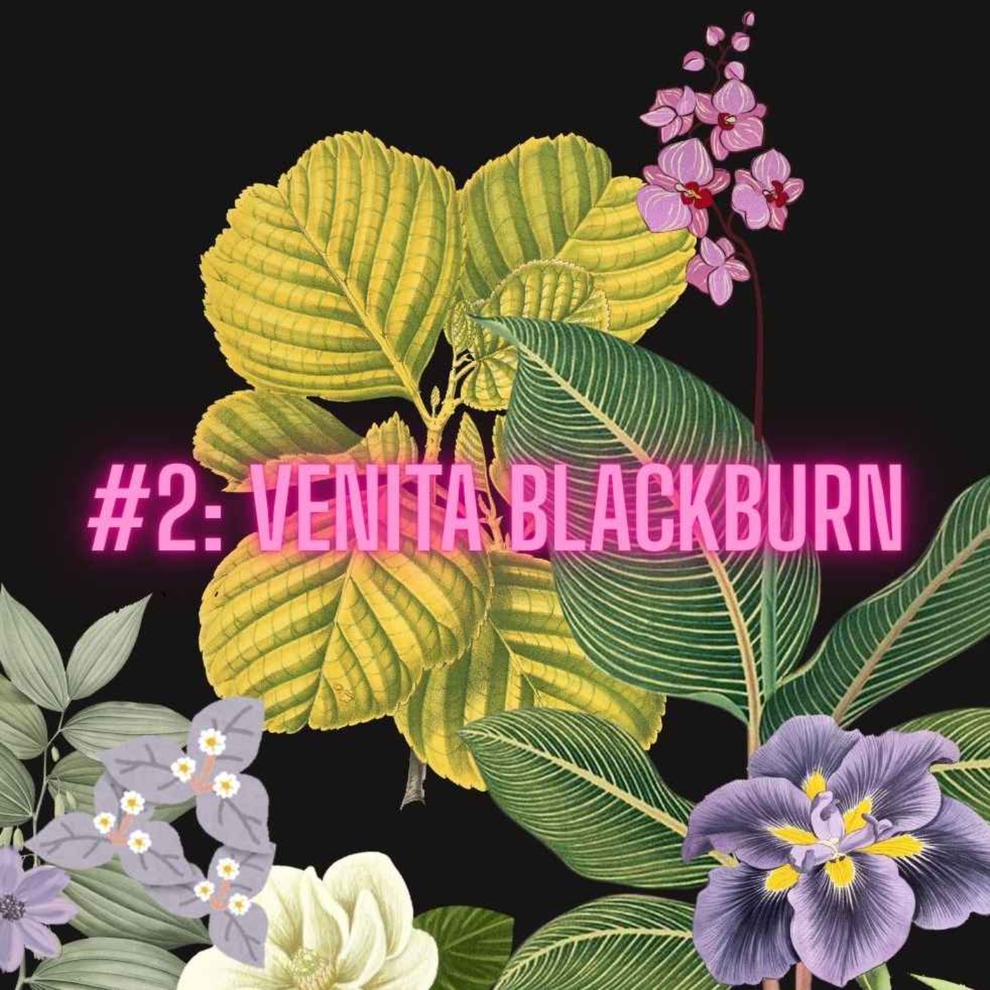 “Mouthful of Ghosts” – #2 – Venita Blackburn