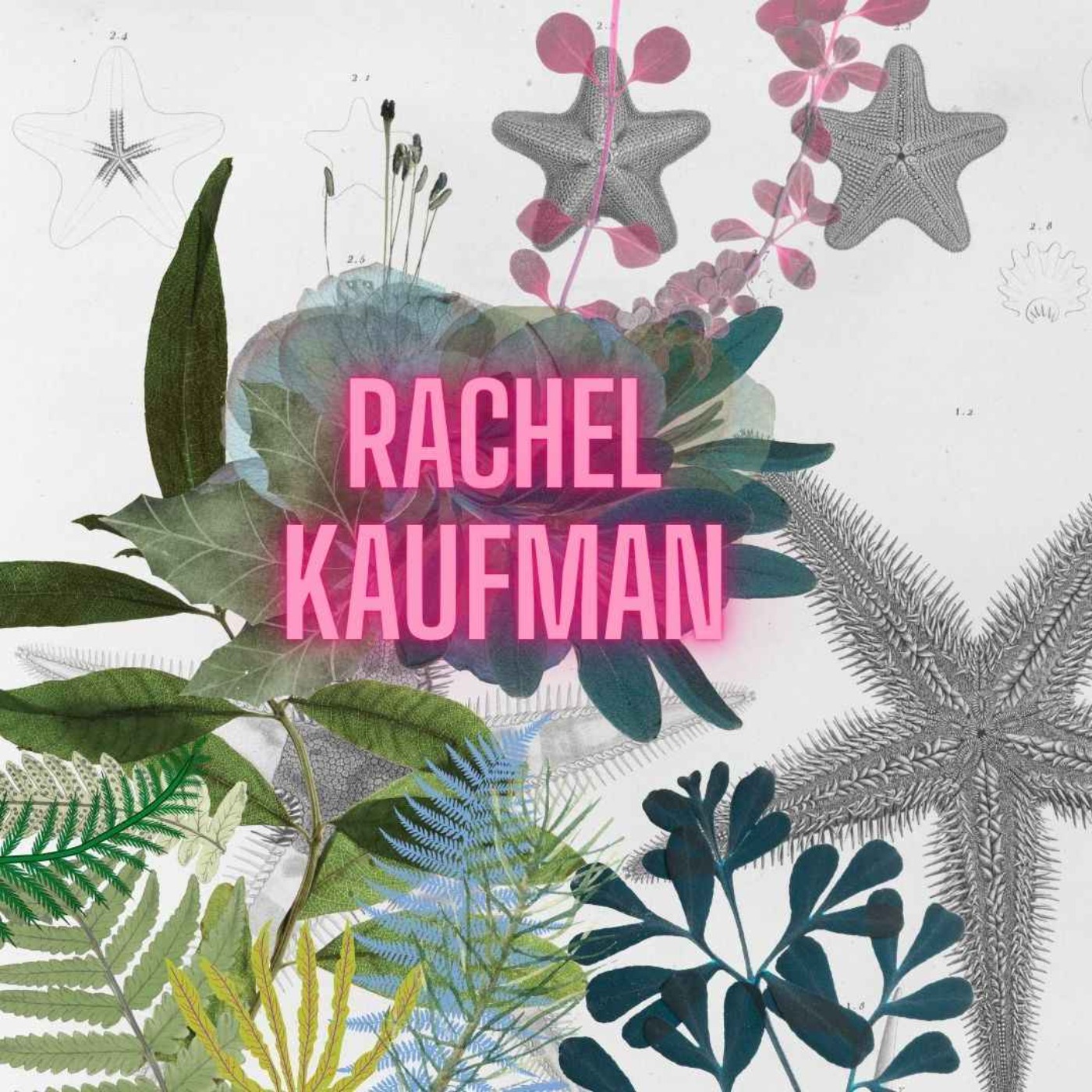 “Mouthful of Ghosts” – #3 – Rachel Kaufman