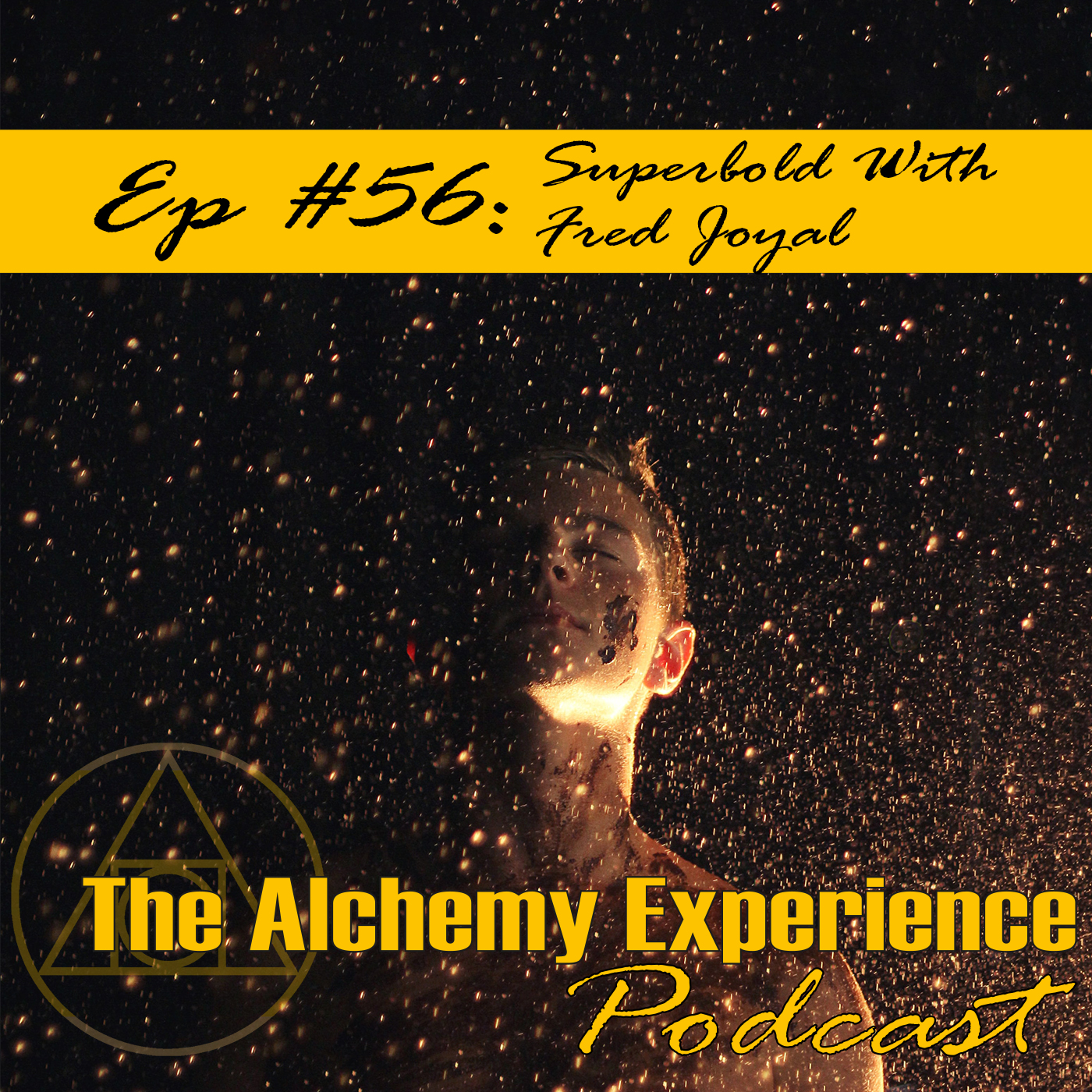 The Alchemy Experience
