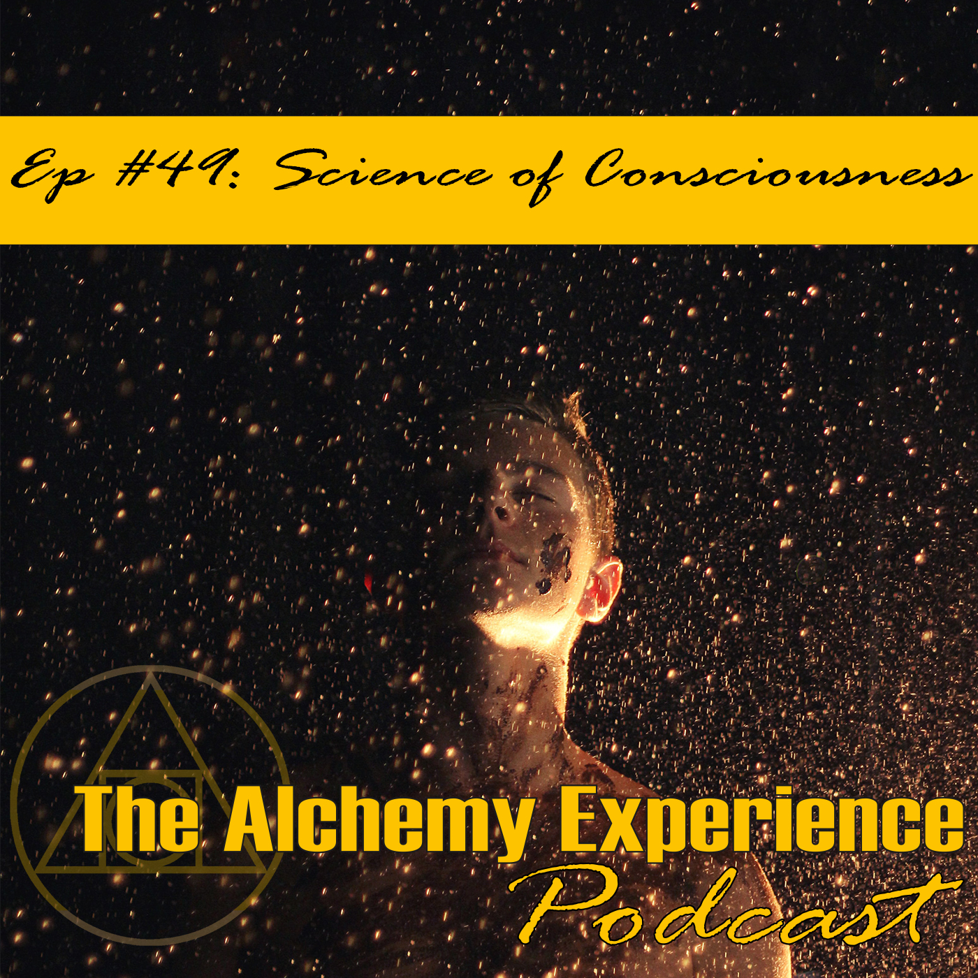 The Alchemy Experience