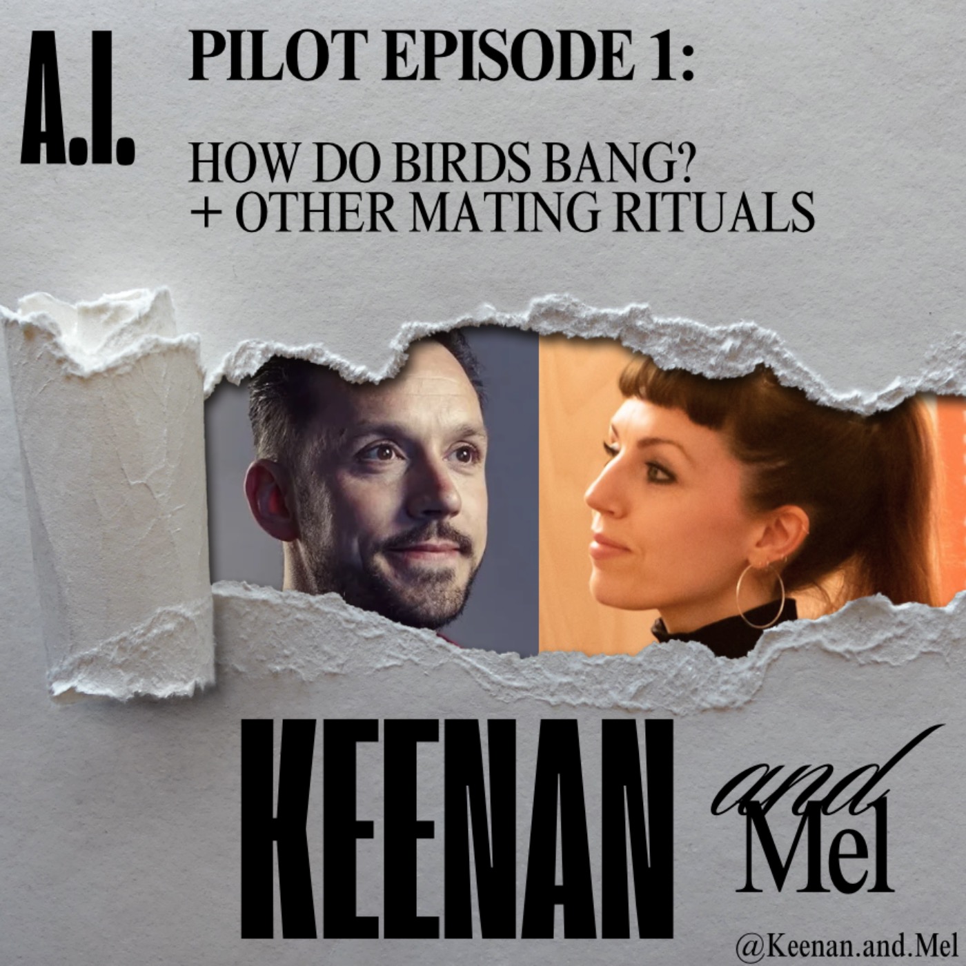 Pilot Episode 1: How do Birds Bang? episode artwork