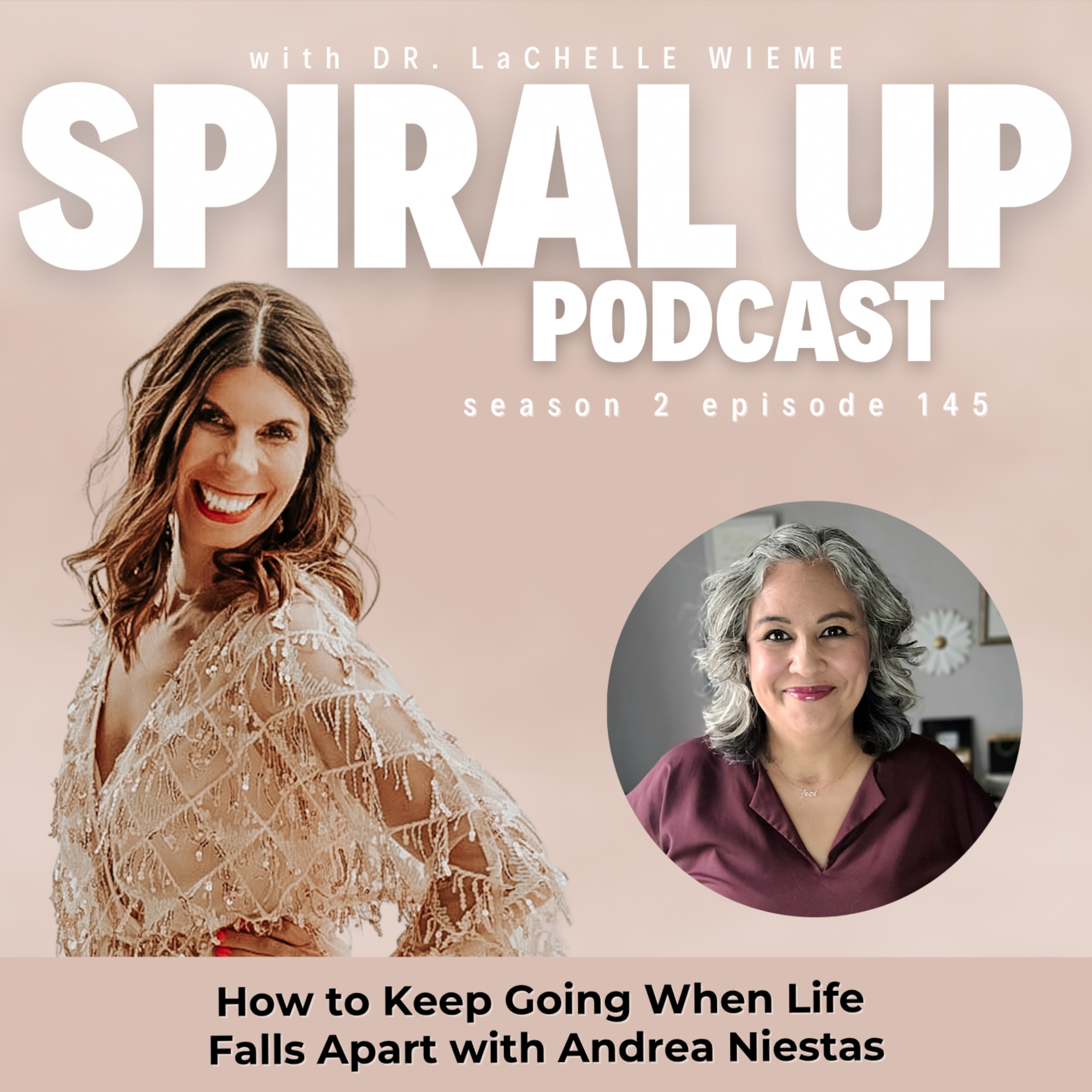Ep. 145 - How to Keep Going When Life Falls Apart with Andrea Niestas episode artwork