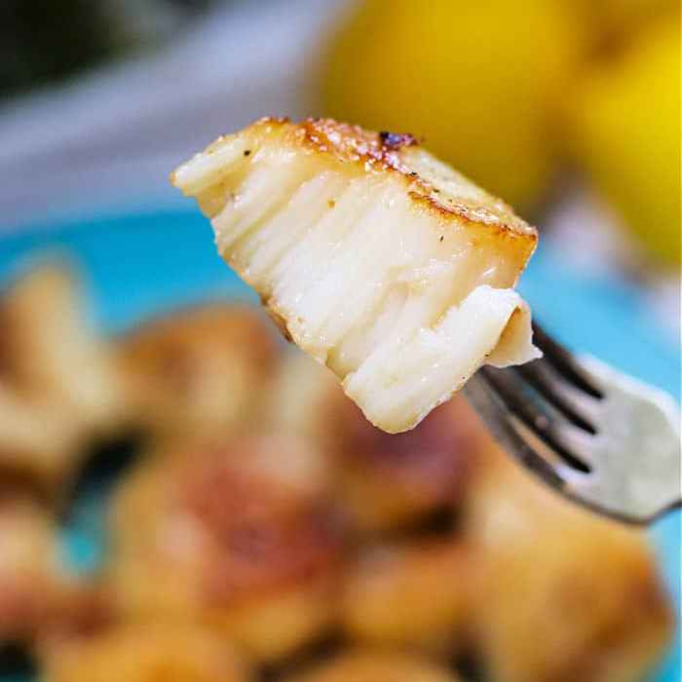 How to Cook Frozen Scallops episode artwork