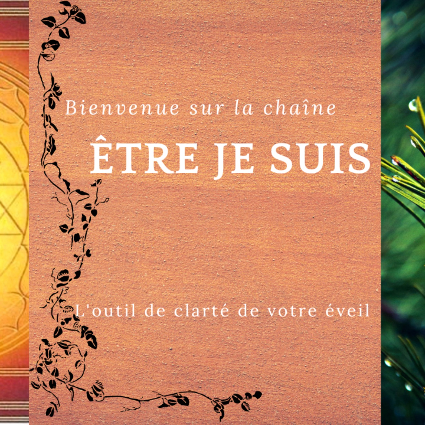 Soin pour apaiser vs soin pour guérir episode artwork