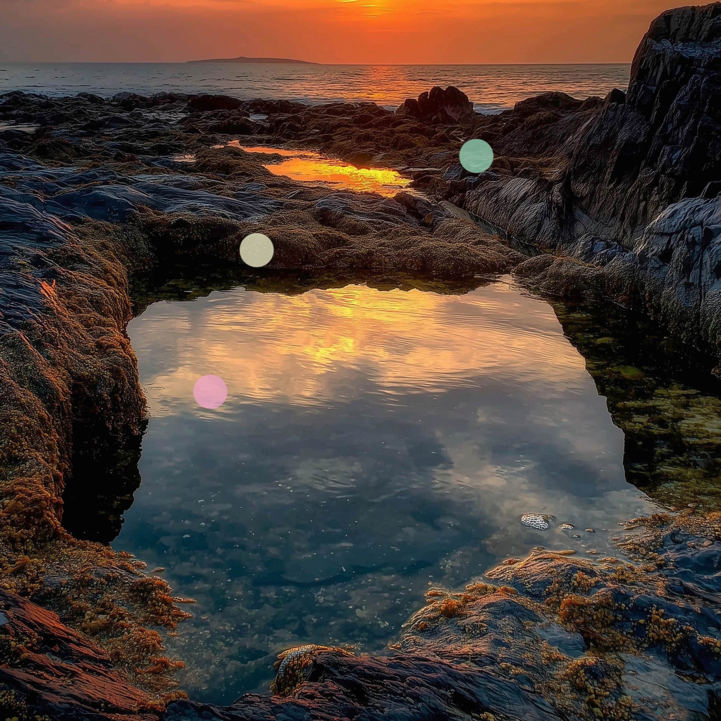 Piscine naturali che si riempiono con l’alta marea episode artwork