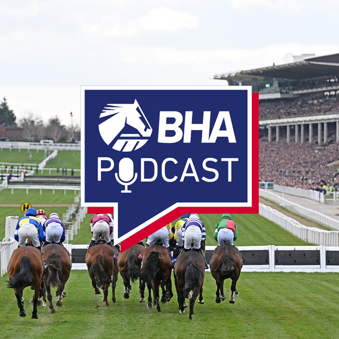2. Cheltenham and Aintree plus Richard Wayman