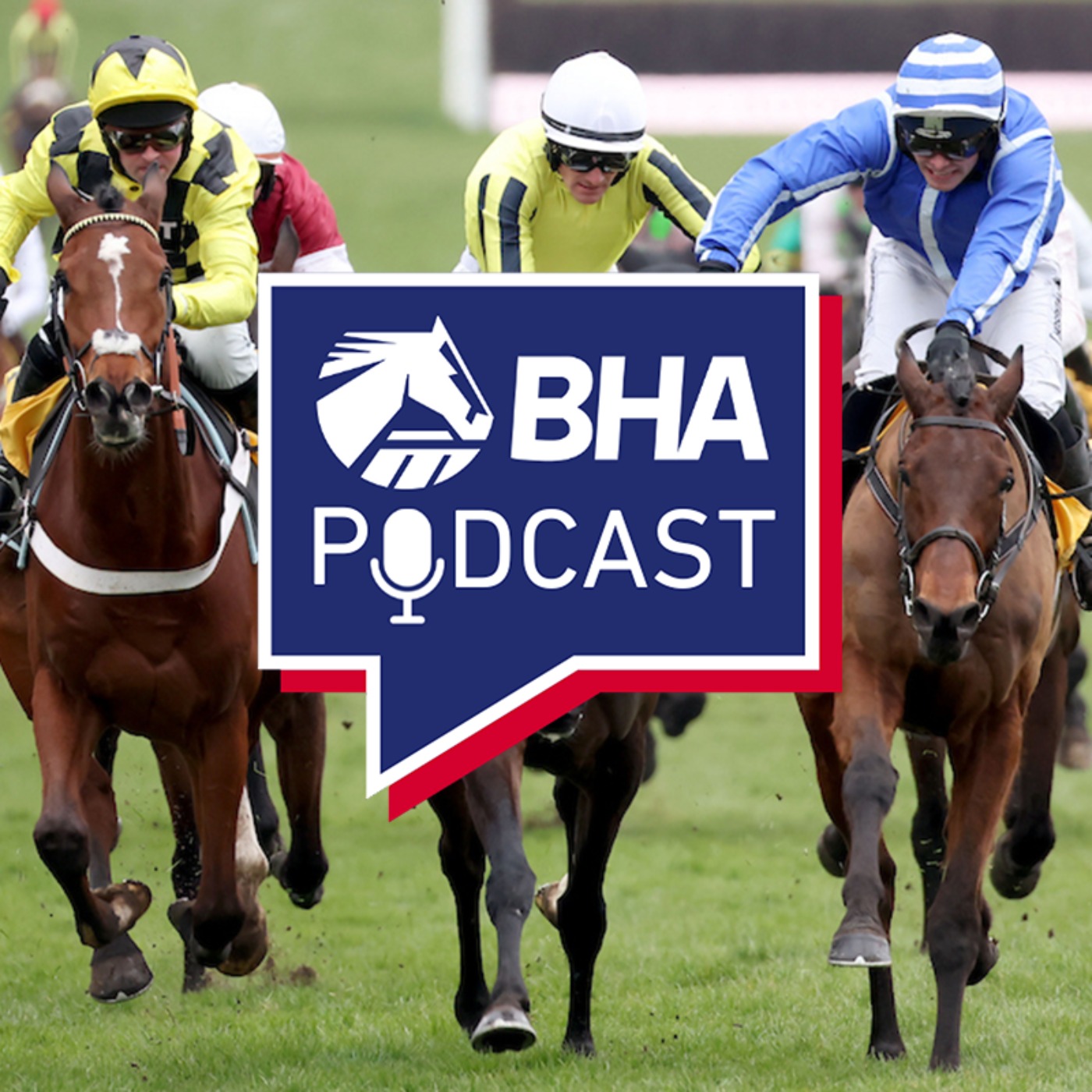 9. Breaking news – Non-runners in Jumps races