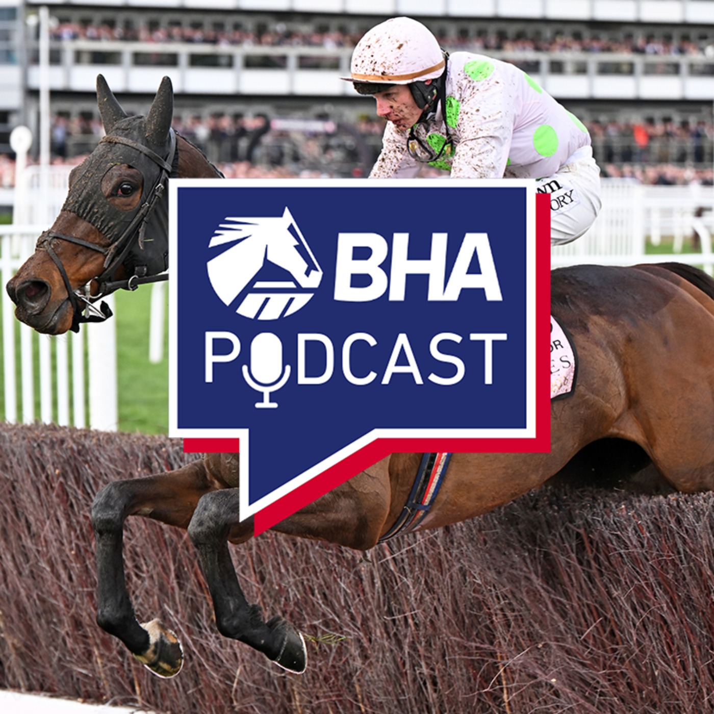 20. The Handicappers reveal the top Jumps stars of 2025/26 episode artwork