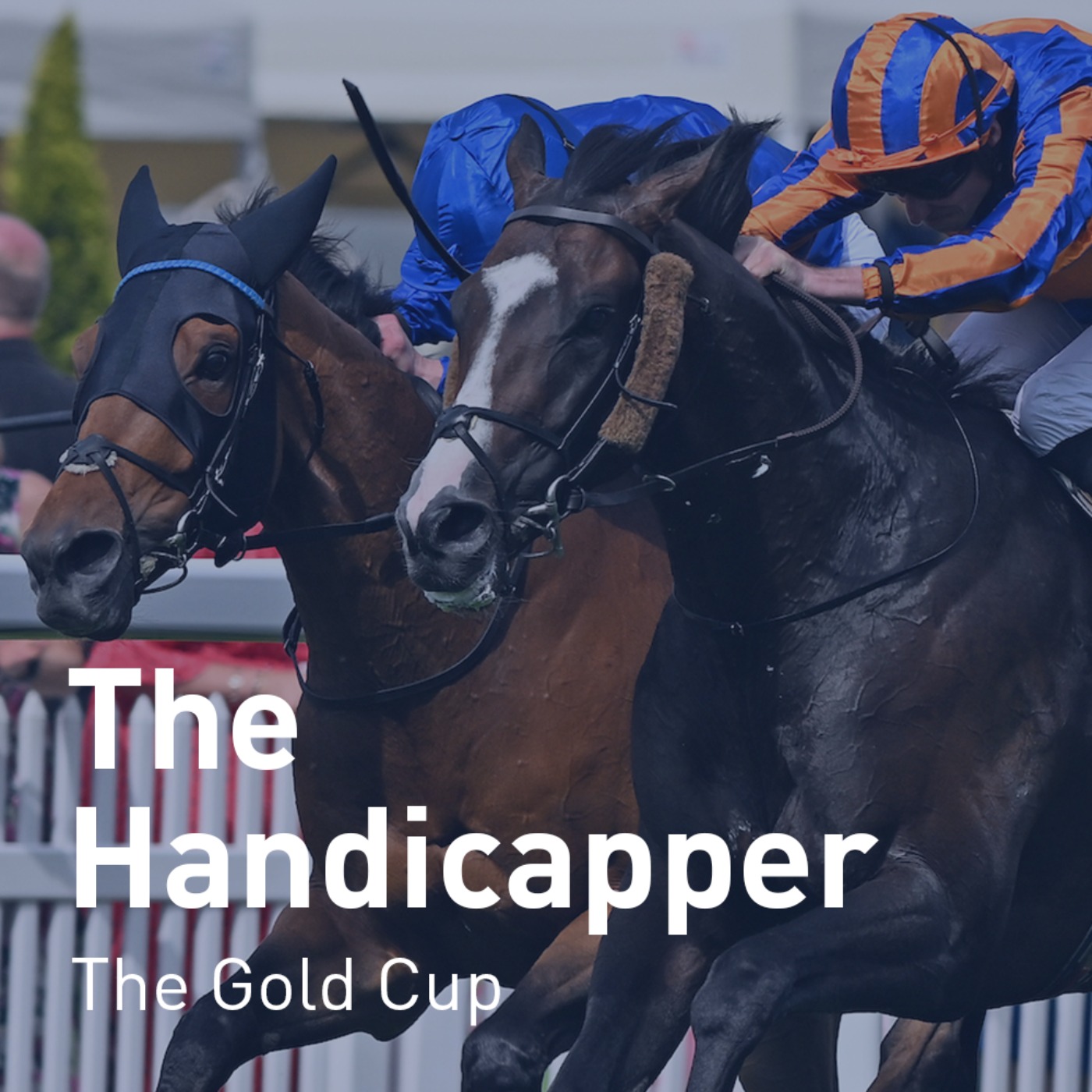 The Handicapper – The Gold Cup