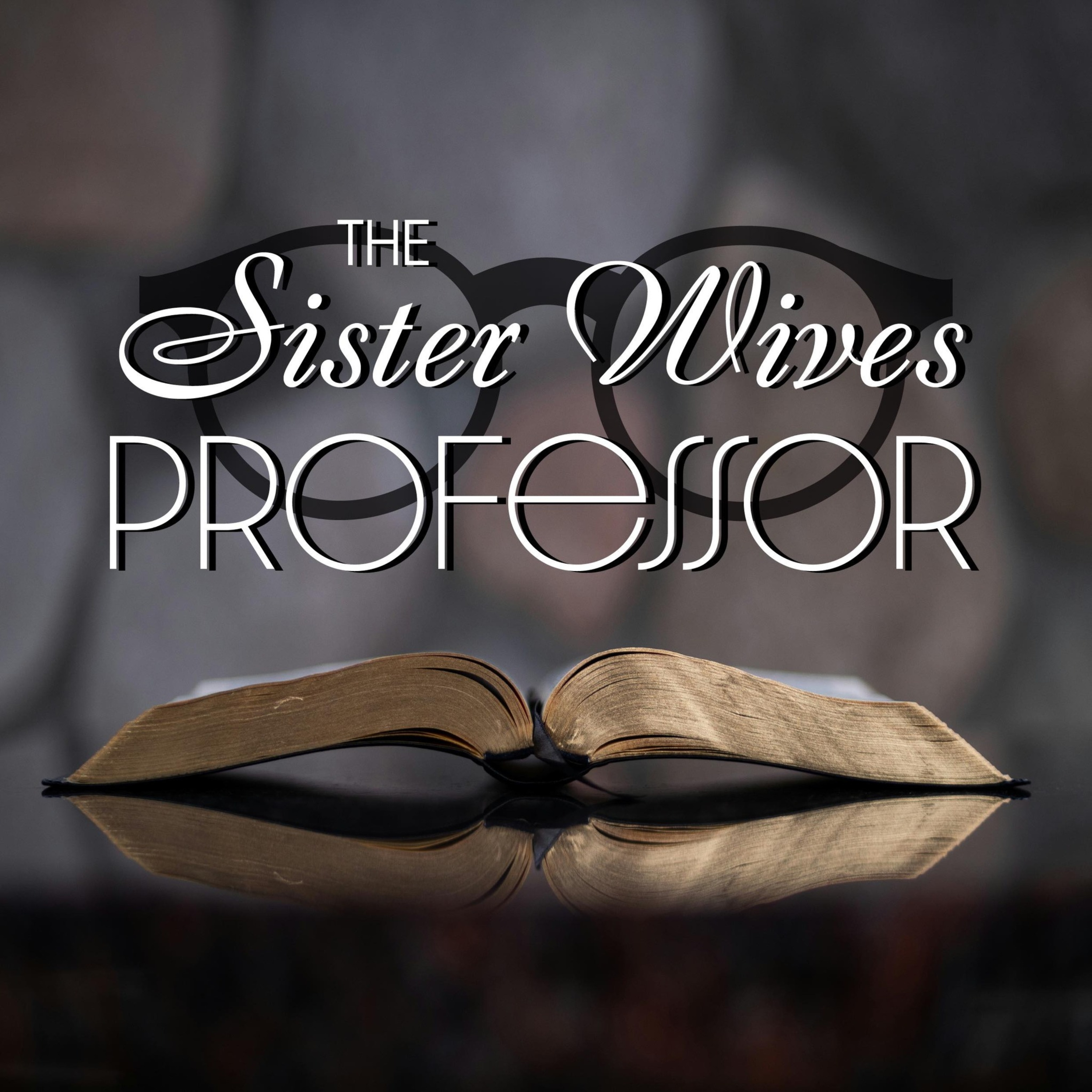 Sister Wives 1.7 - Four Wives and Counting