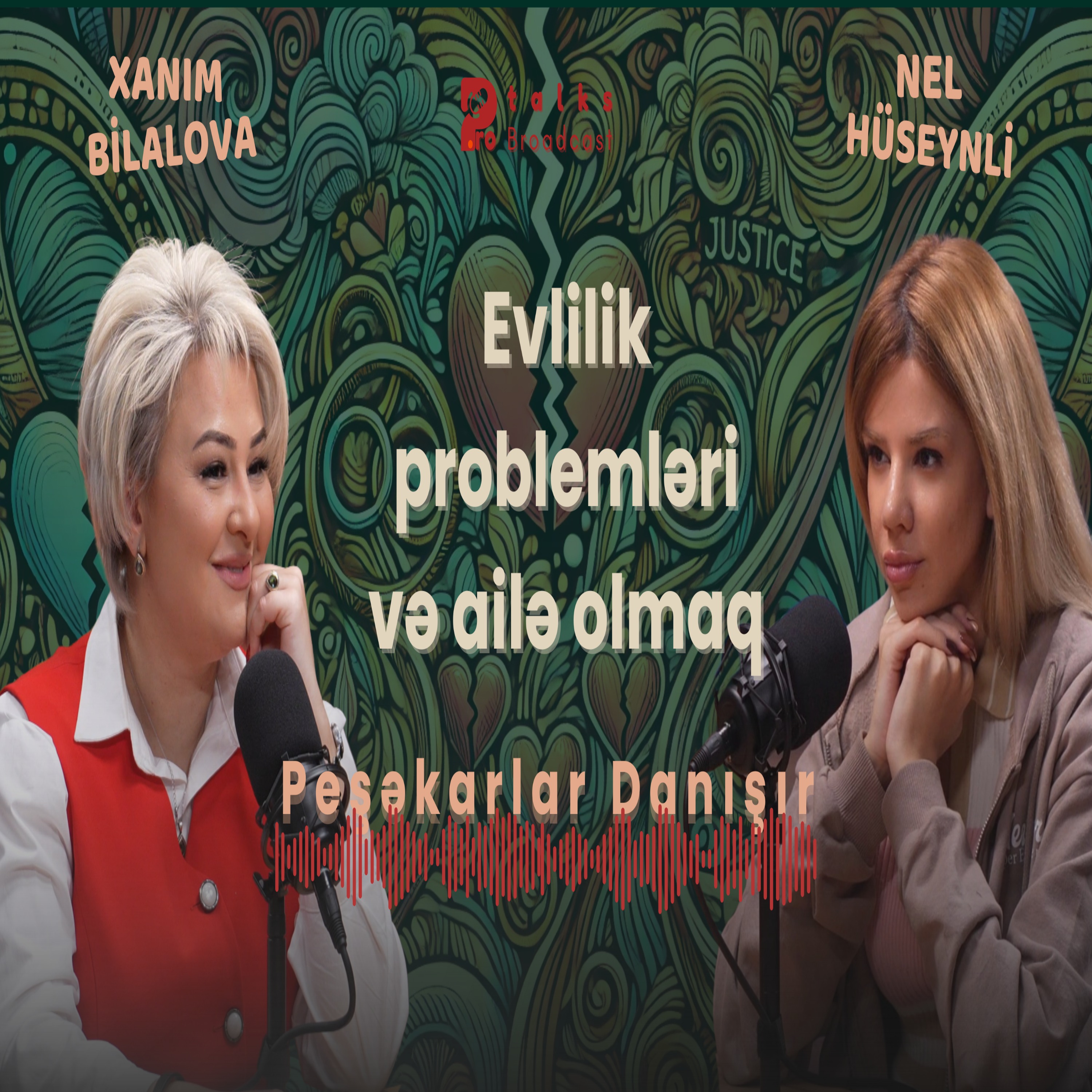 Peşəkarlar danışır