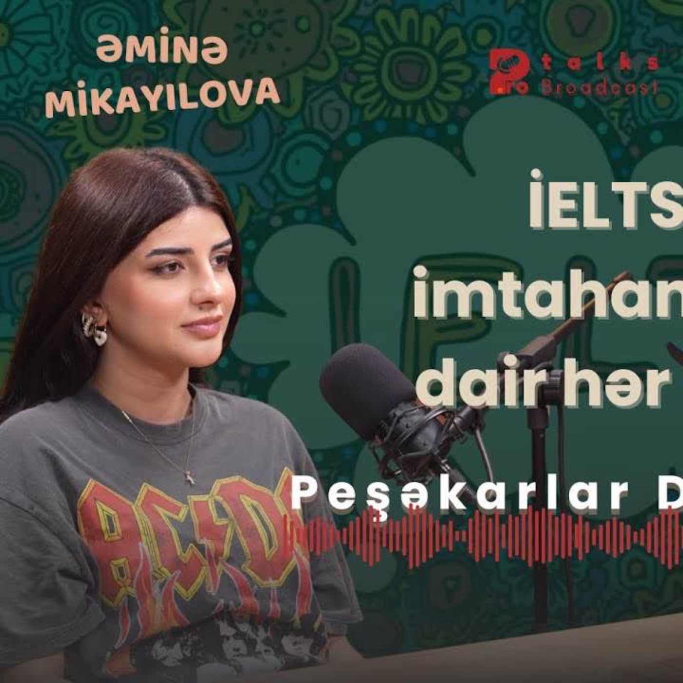 Peşəkarlar danışır