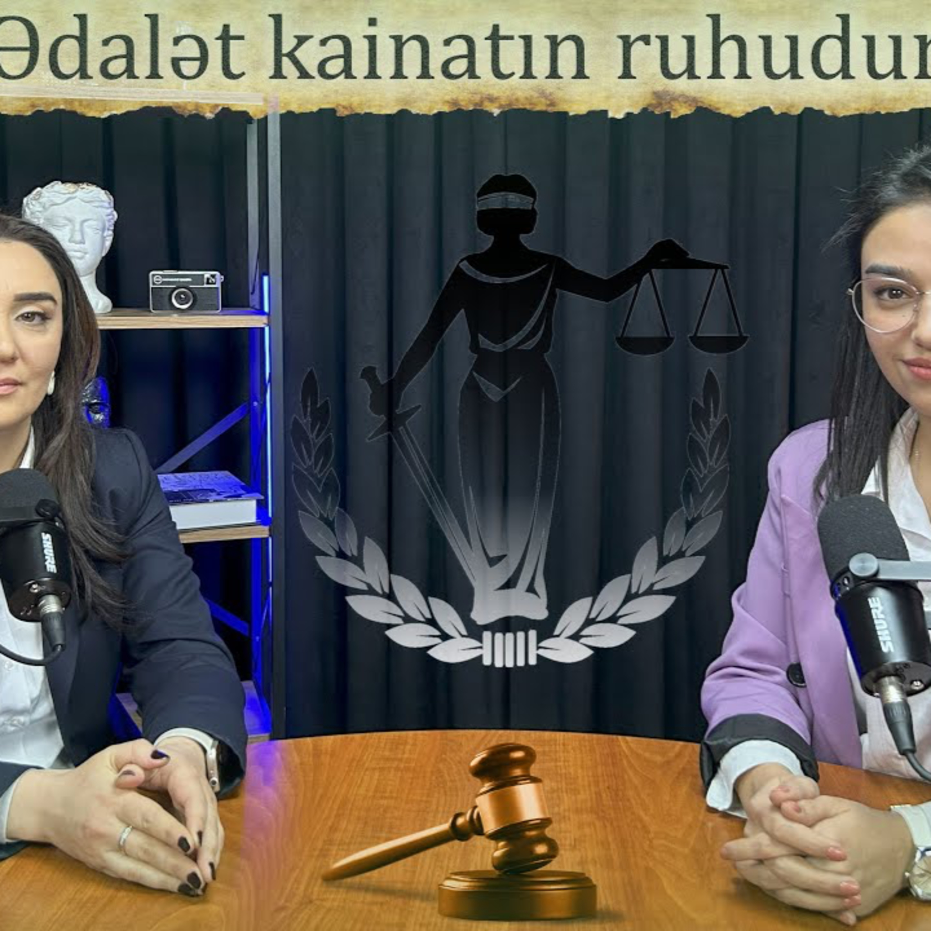 Peşəkarlar danışır