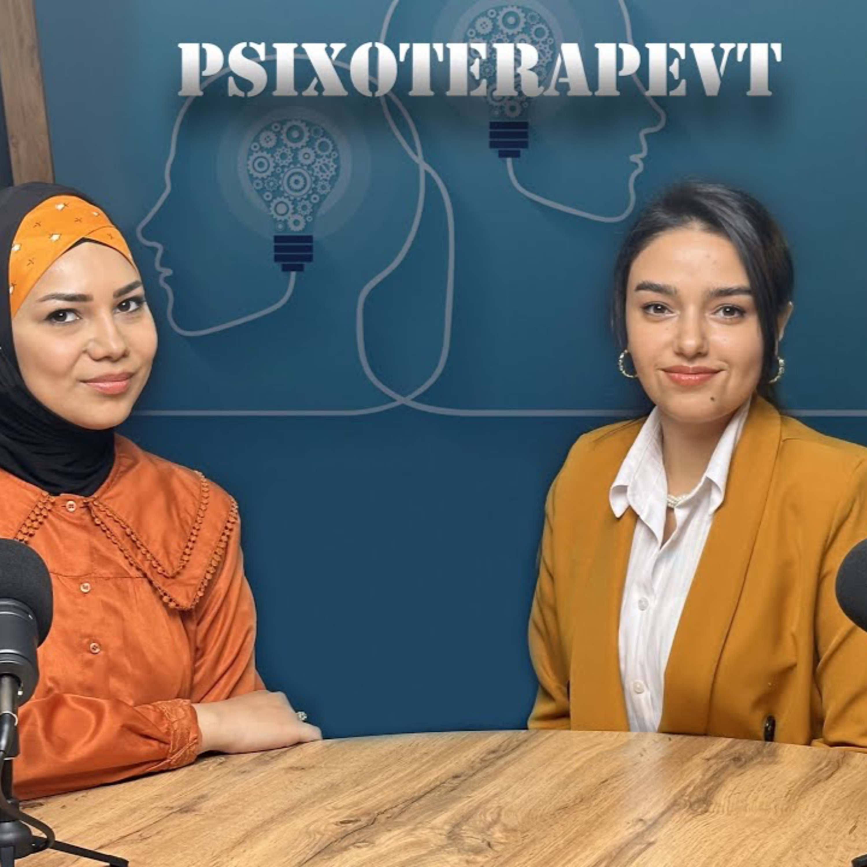 Peşəkarlar danışır