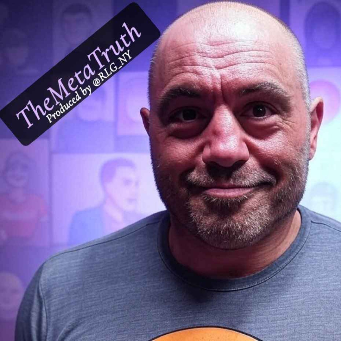 Interview with HoloJoeRogan