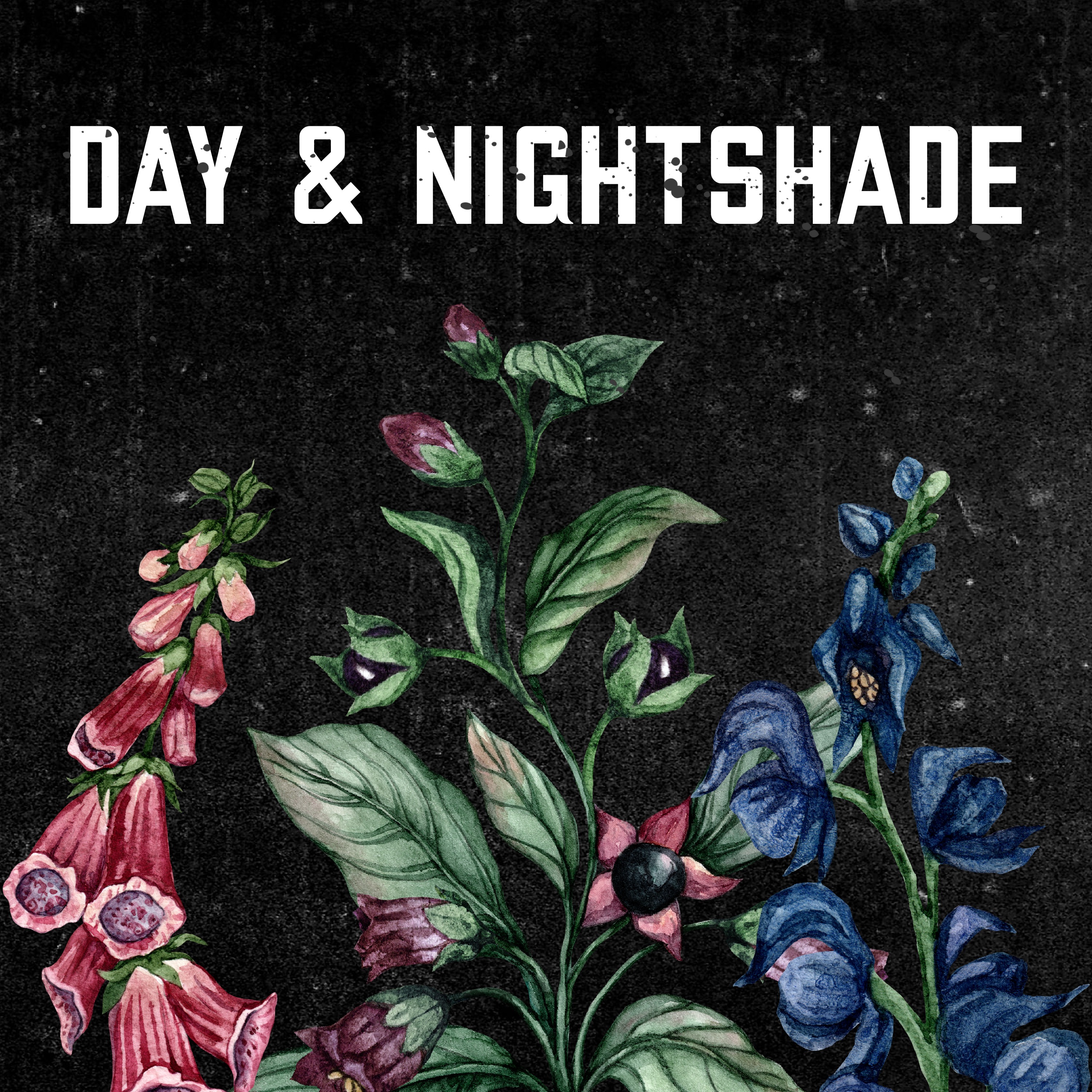 Introducing - Day and Nightshade