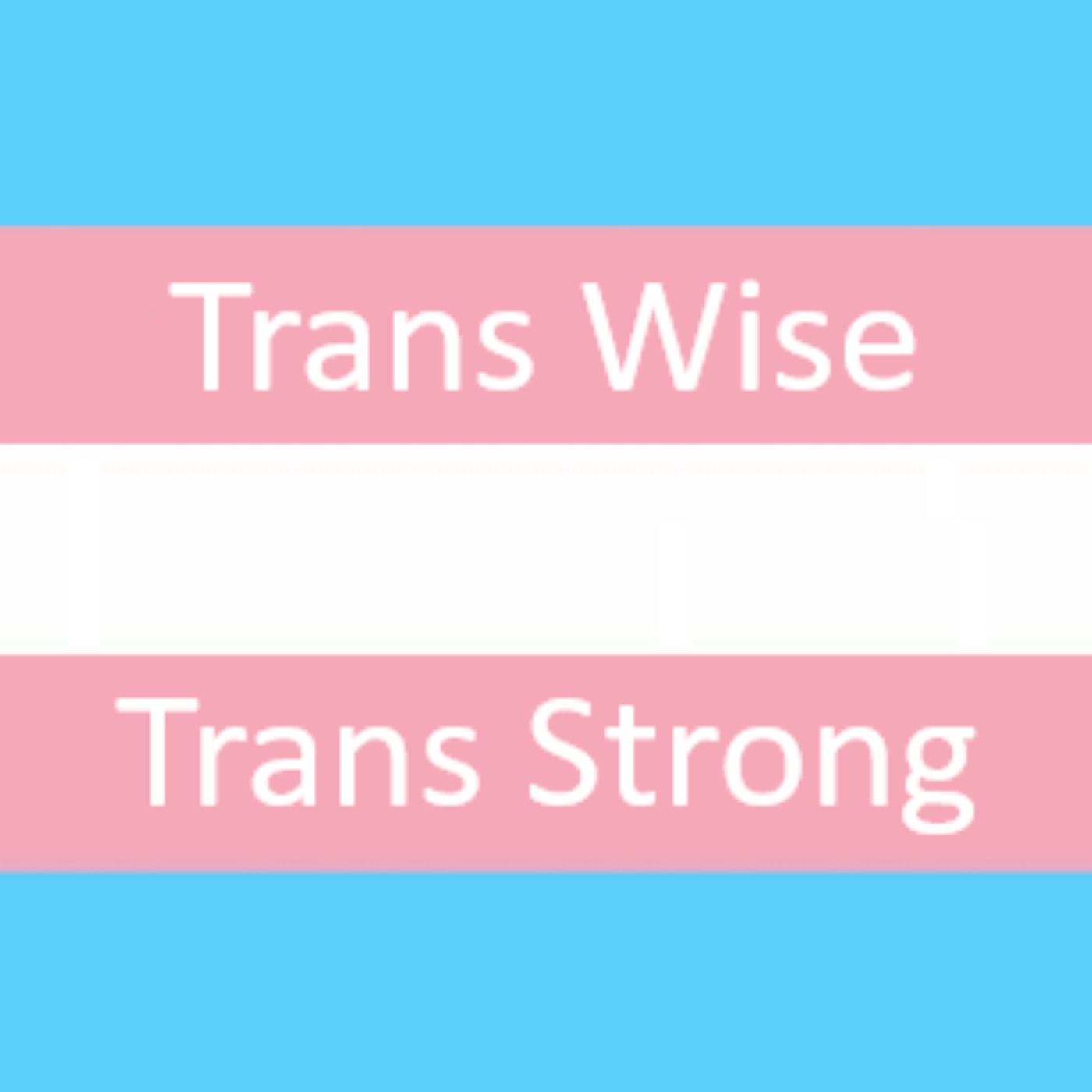 Trans Wise Trans Strong