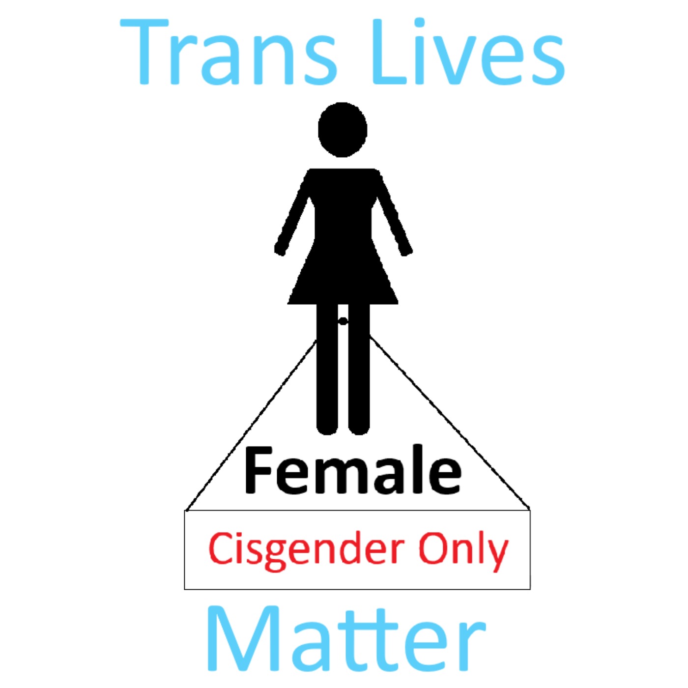 Trans Wise Trans Strong