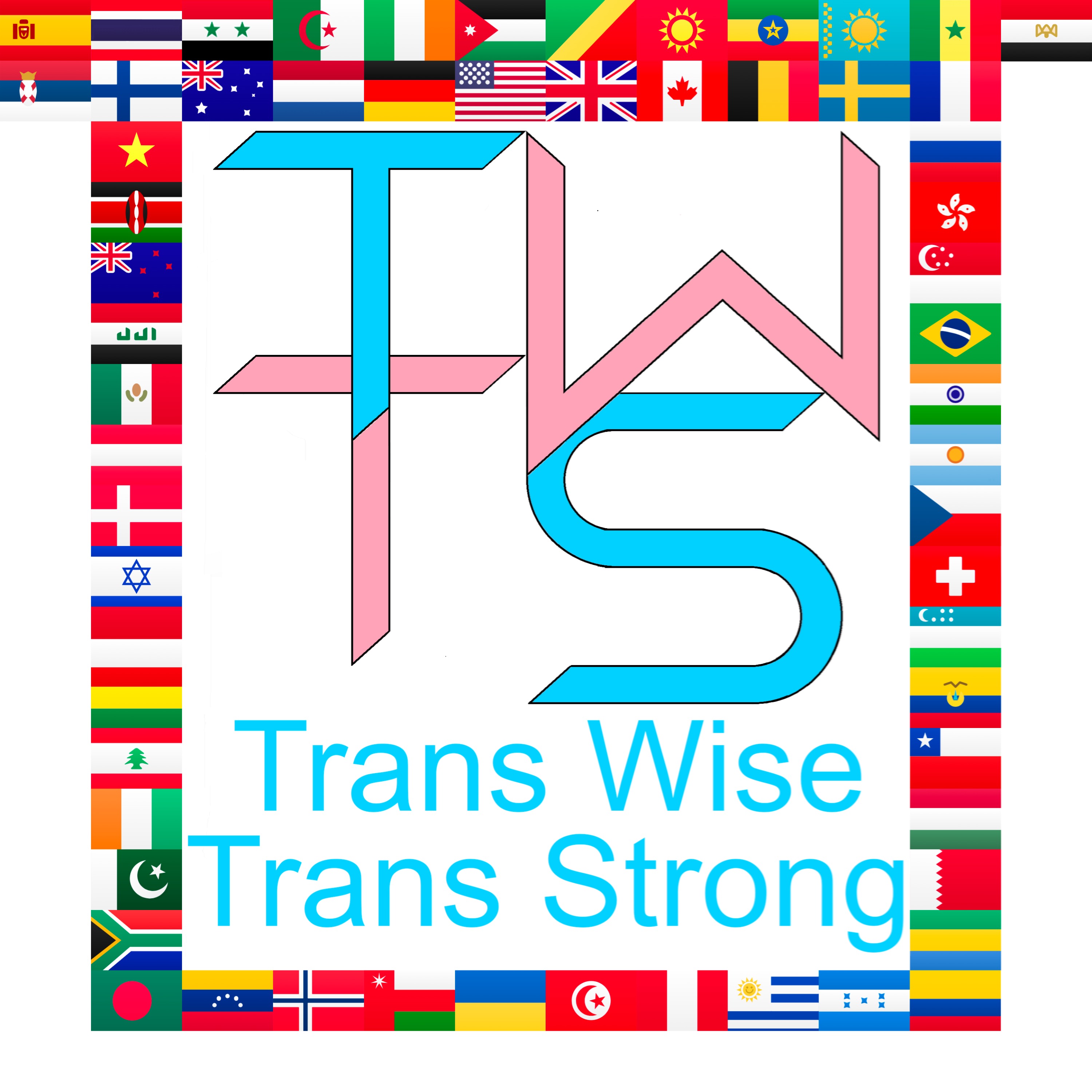 Trans Wise Trans Strong
