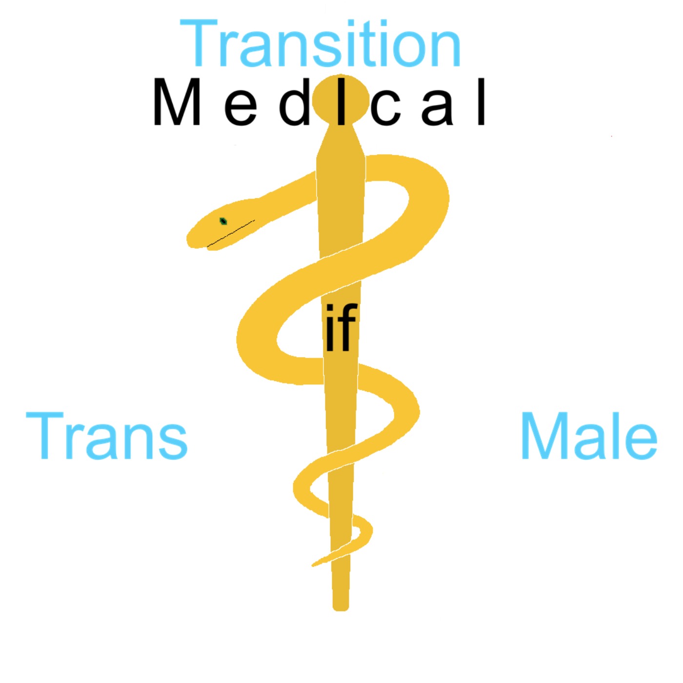 Transition: Medical if Trans Male episode artwork