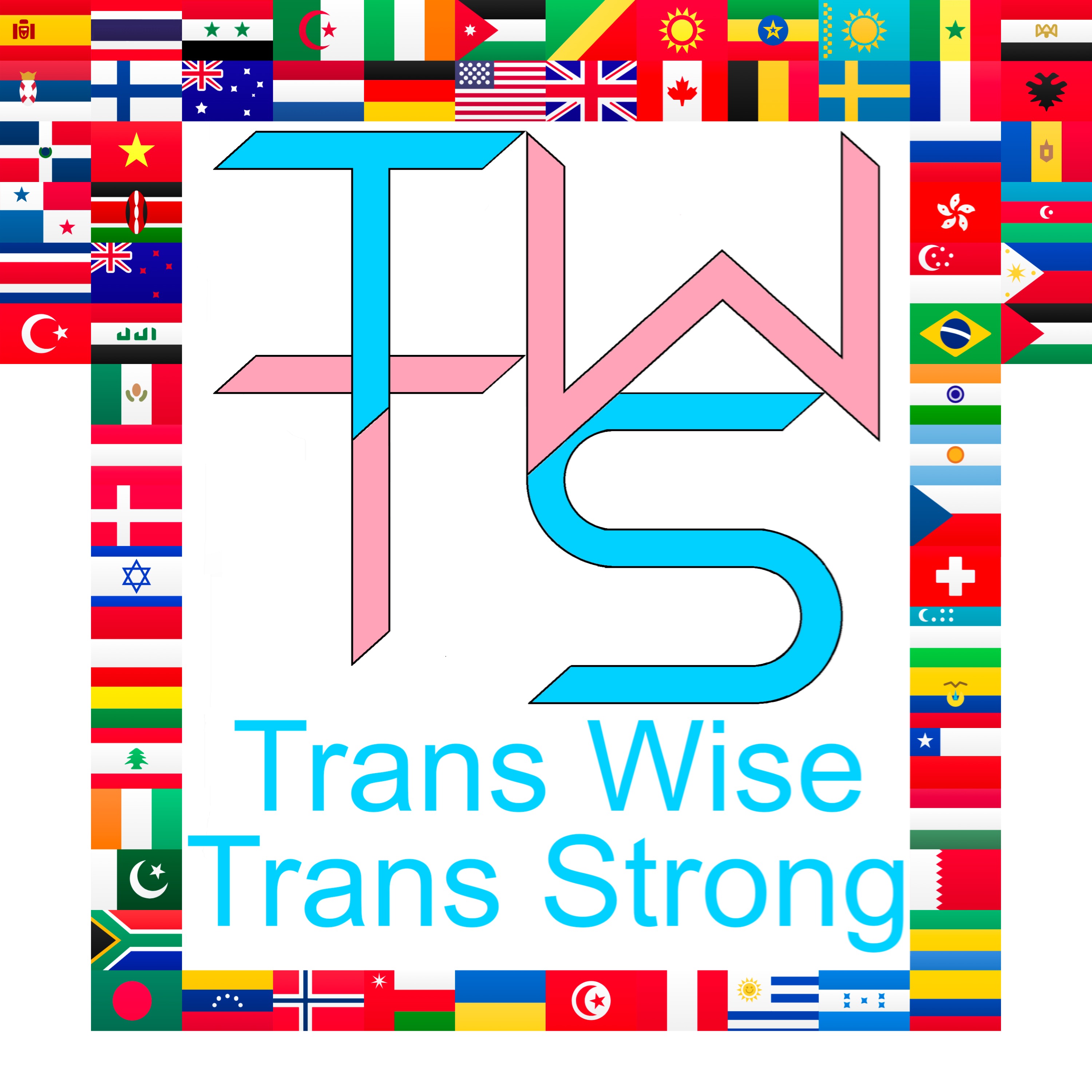 Trans Wise Trans Strong