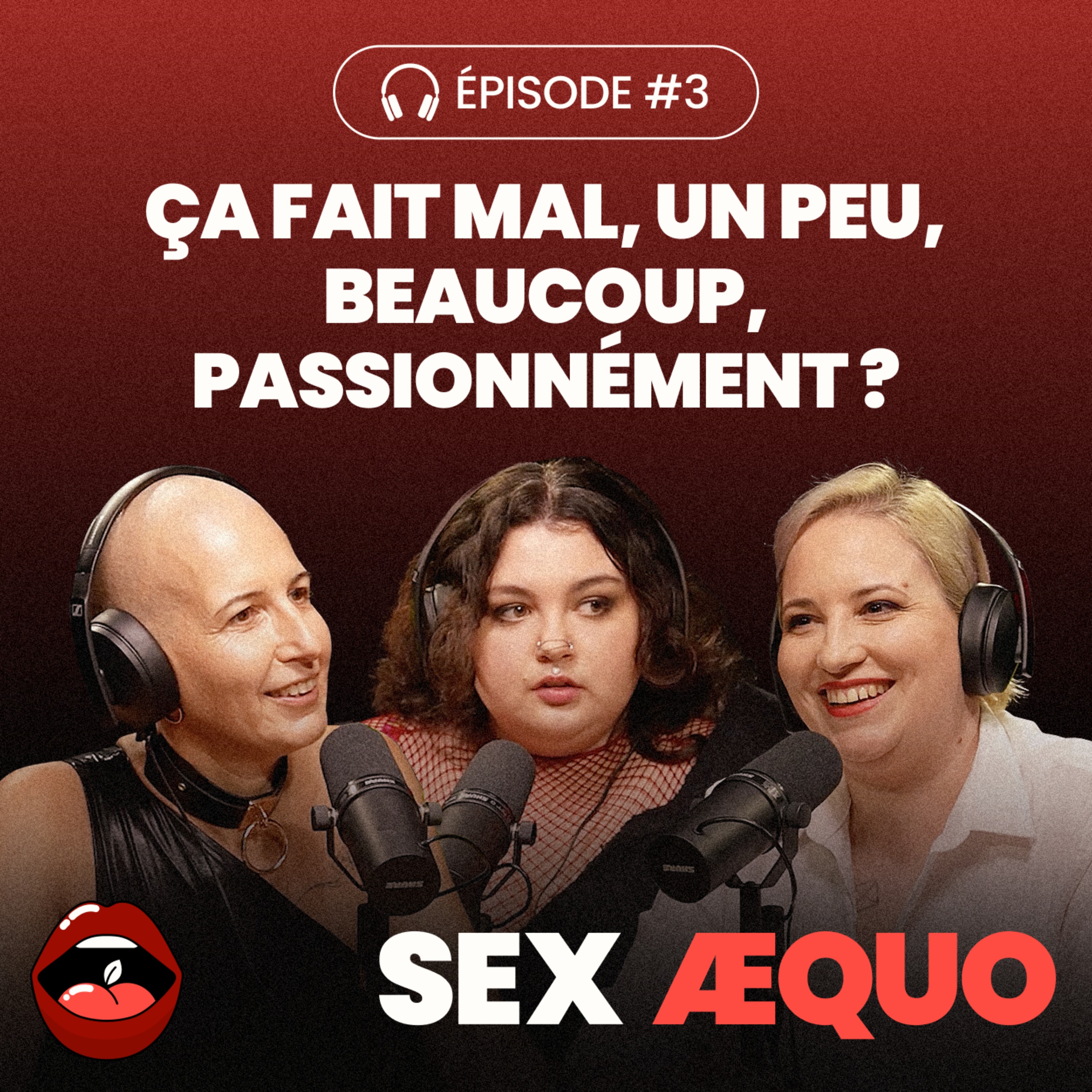 Ça fait mal. Un peu, beaucoup, passionnément ? episode artwork