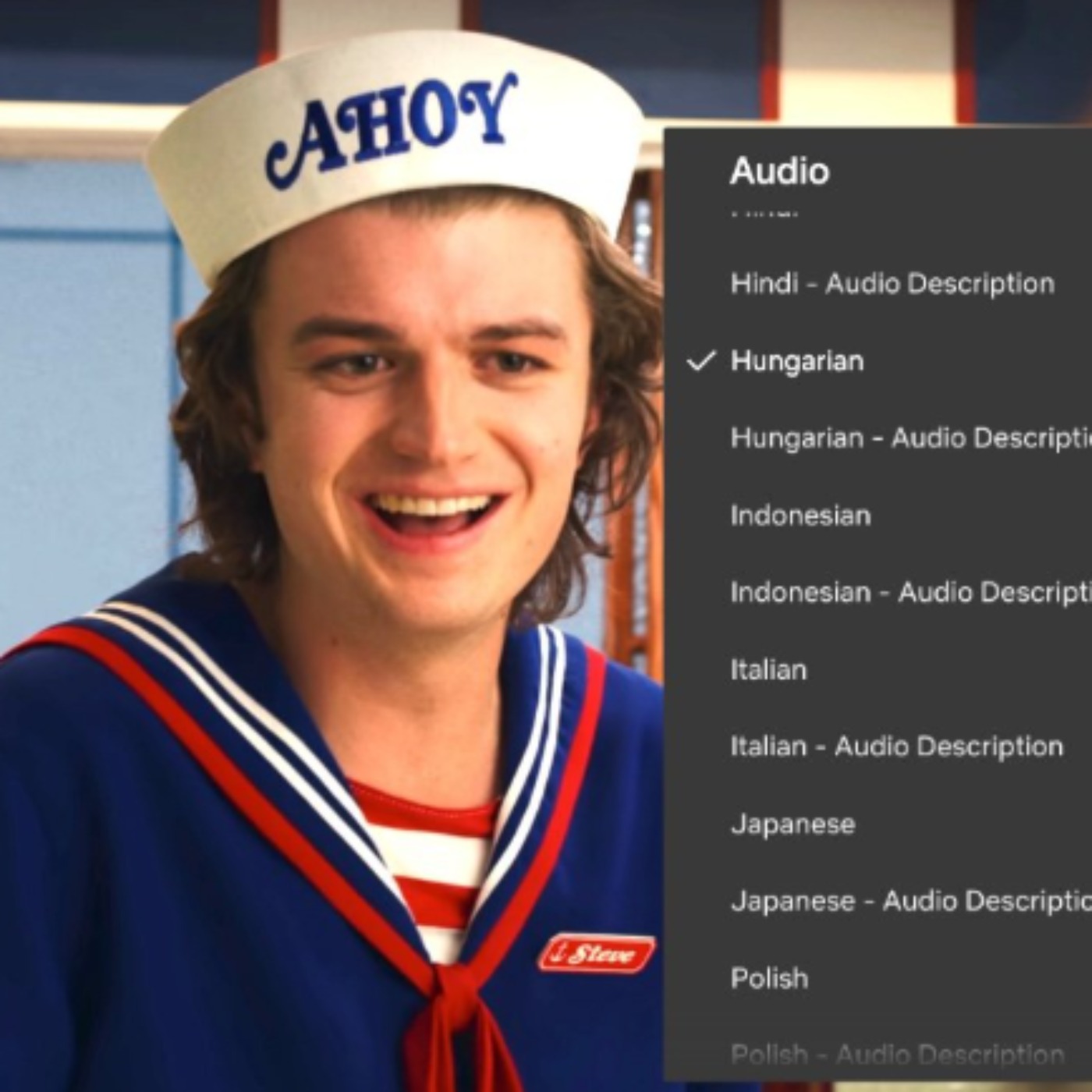 Learn a New Language with Netflix as TV Subtitling and Dubbing Options Grow