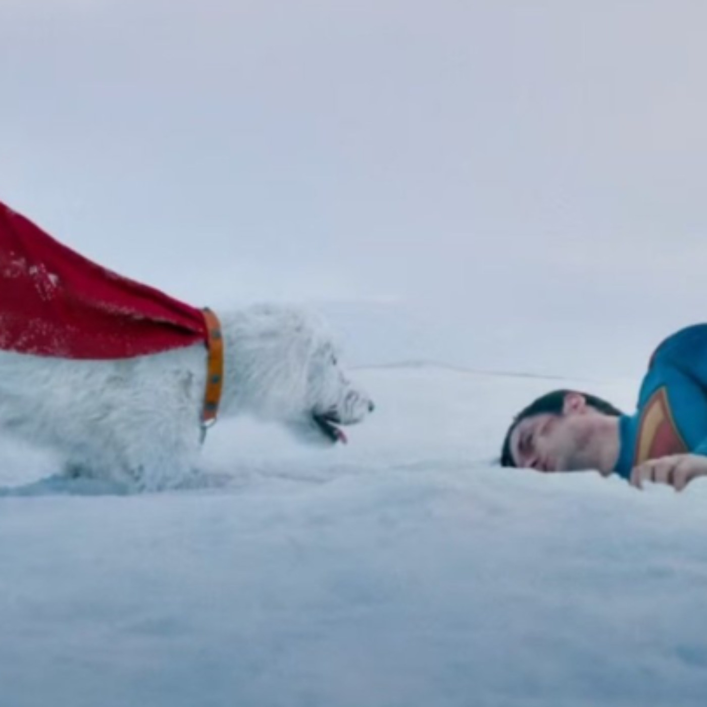 SUPERMAN Sneak Peek Shows Us Krypto the Superdog Saving the Day