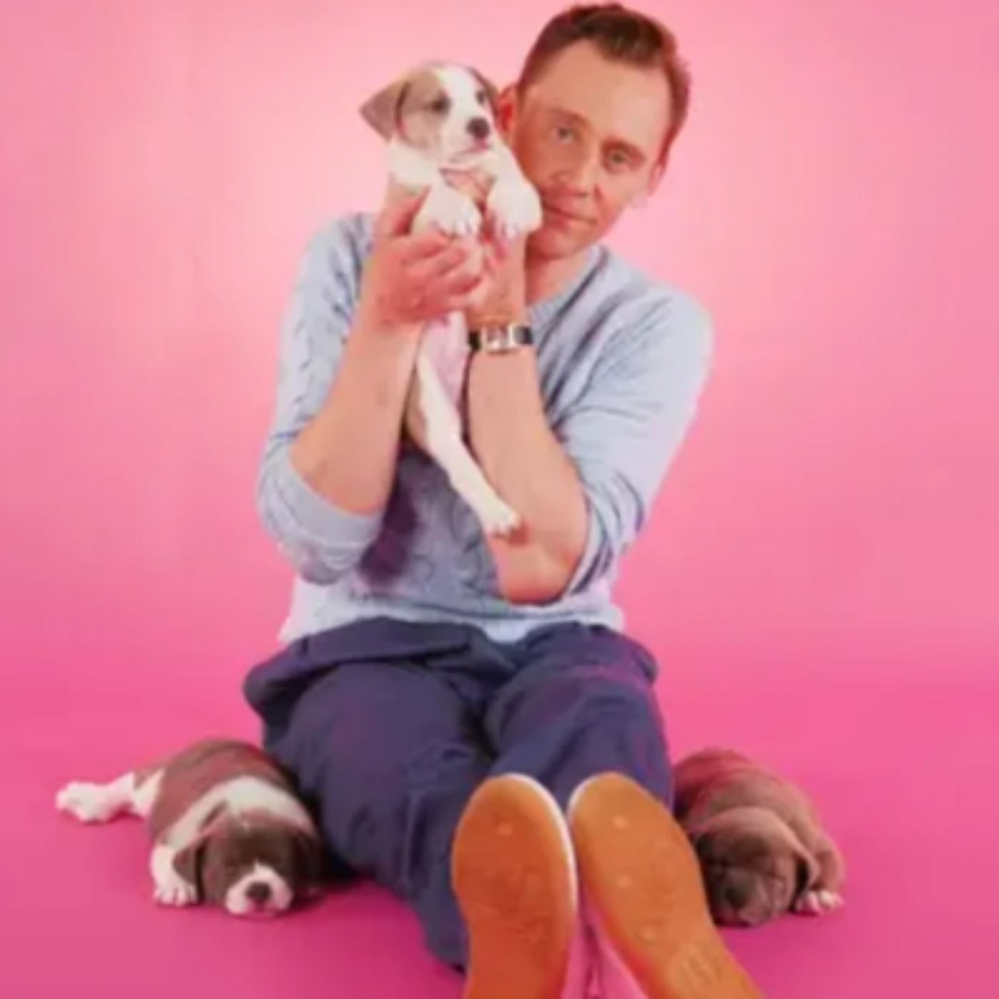 Watch Tom Hiddleston Talk THE LIFE OF CHUCK and LOKI Surrounded by Adorable Puppies