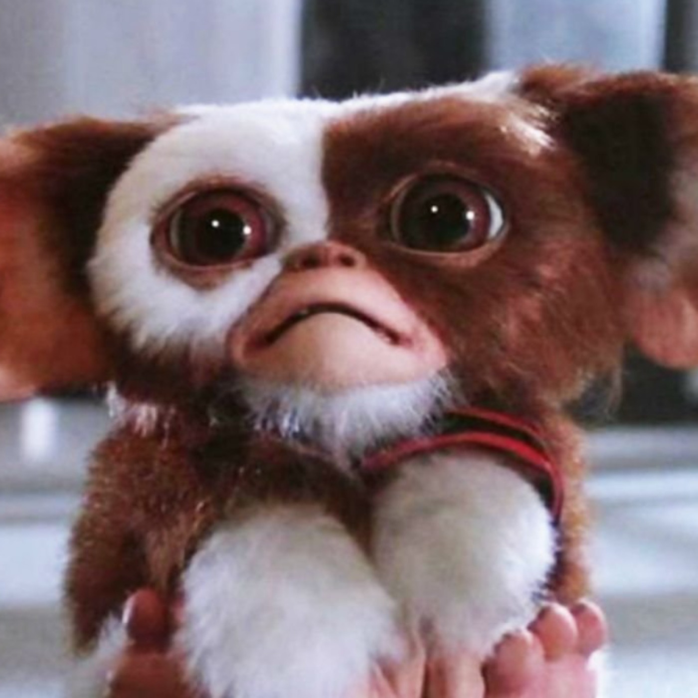 GREMLINS 3 Could Finally Happen if Steven Spielberg Approves New Script